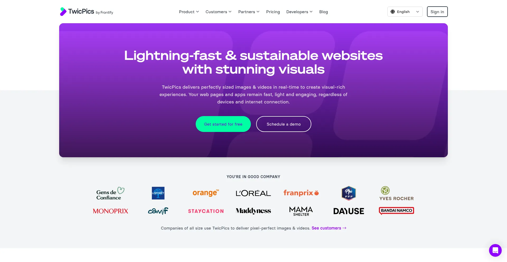 Website screenshot of Twicpics.com