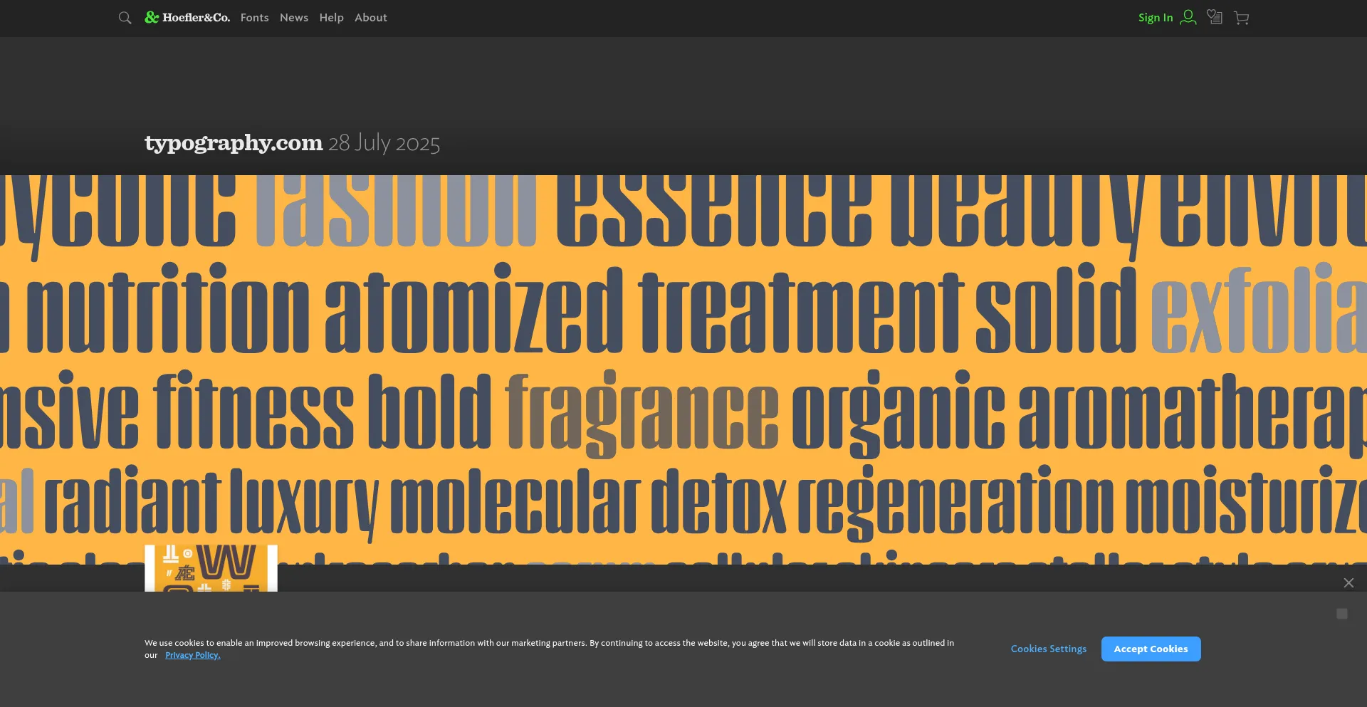 Website screenshot of Typography.com