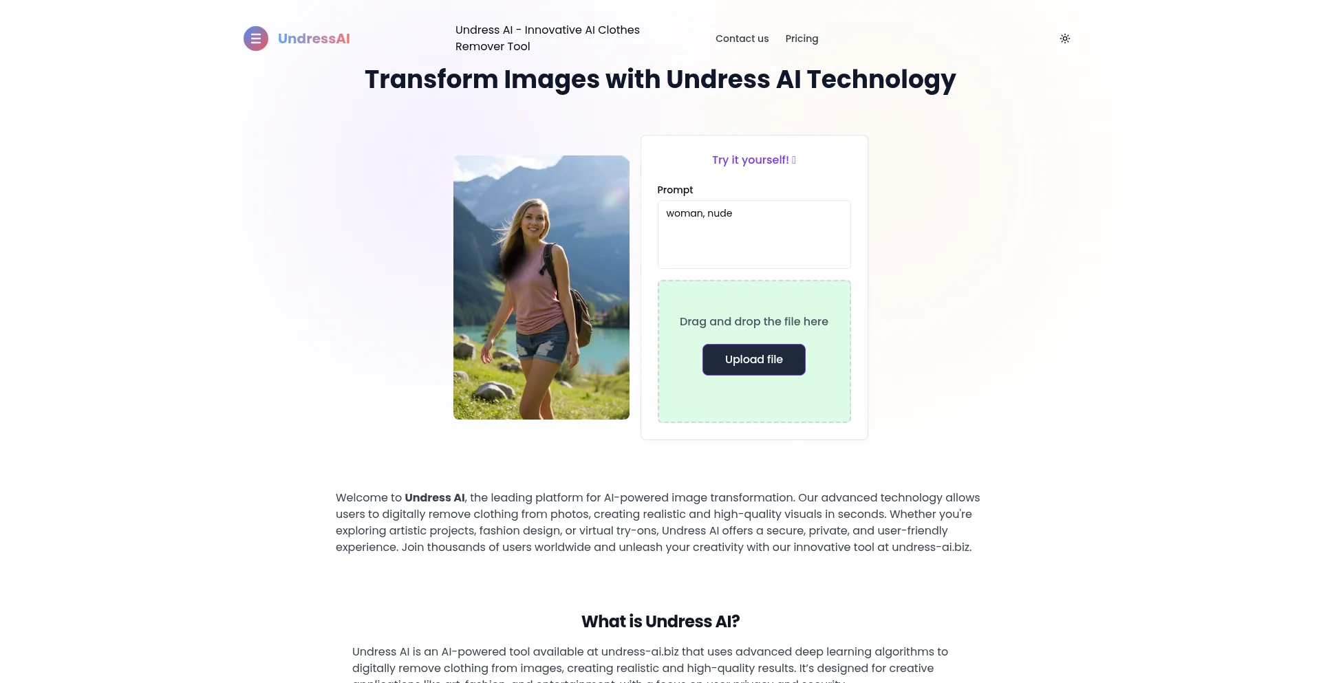 Undress-ai.biz é Seguro e Confiável?