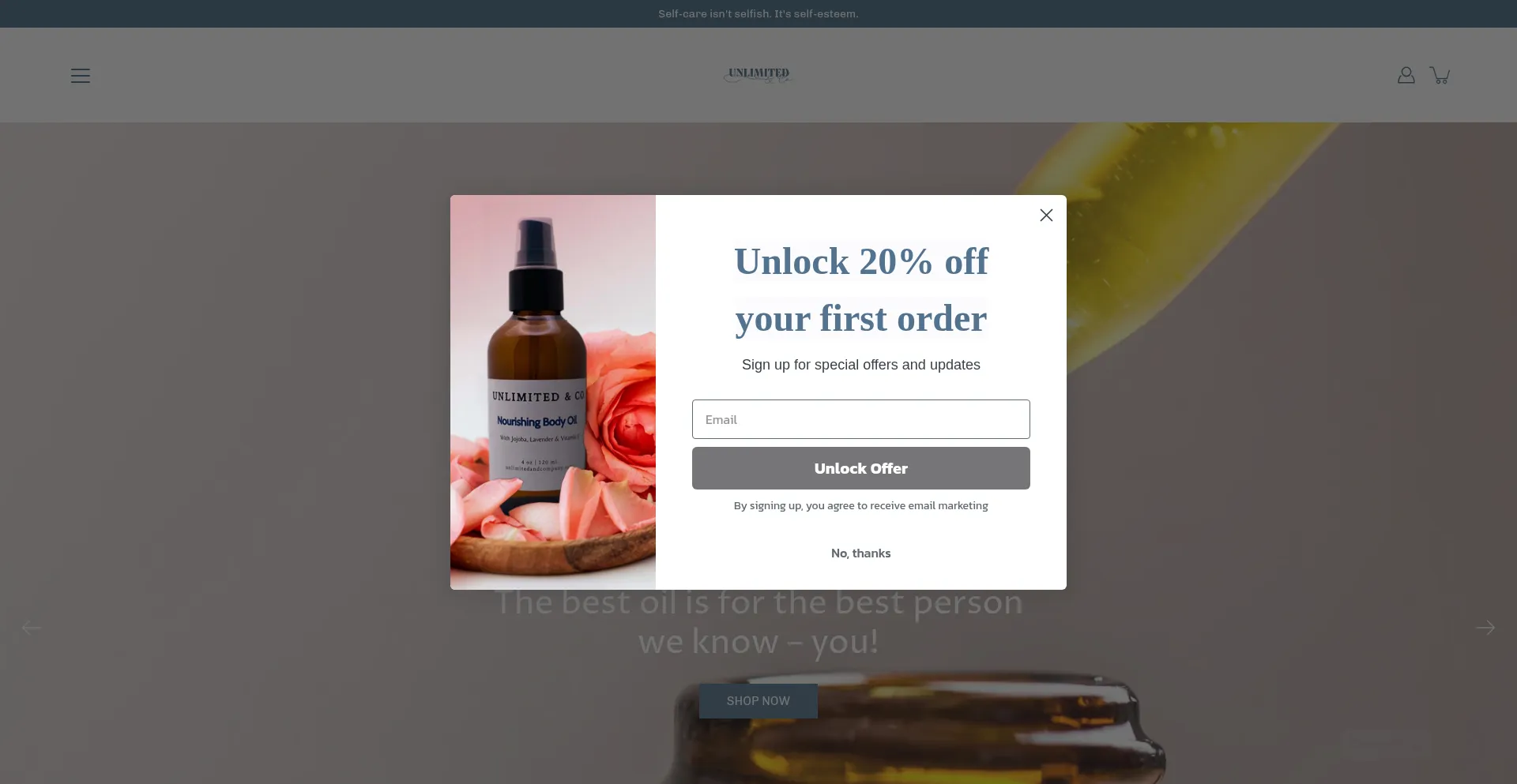 Unlimitedandcompany.com