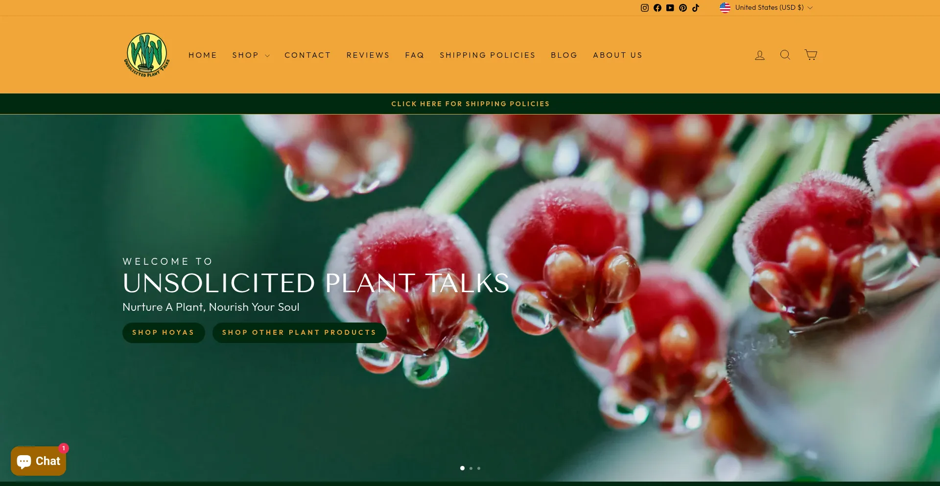 Unsolicitedplanttalks.com