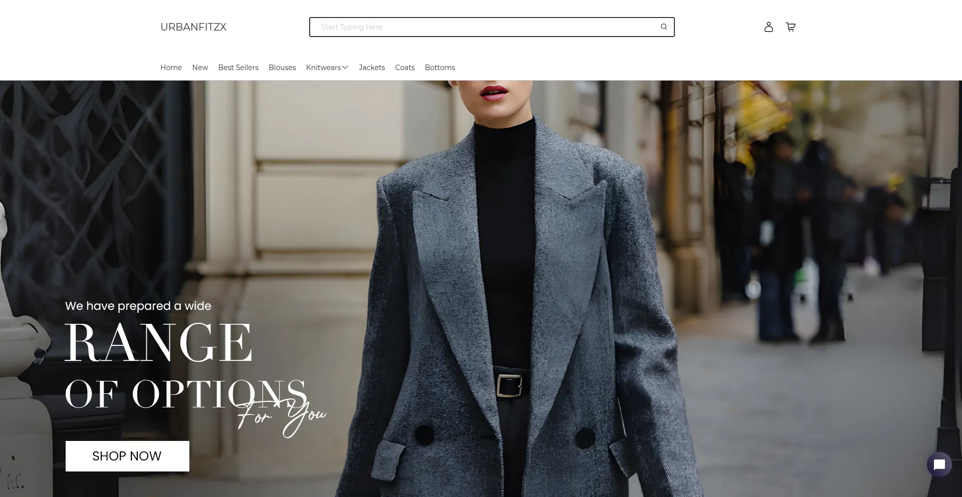 Website screenshot of Urbanfitzx.com