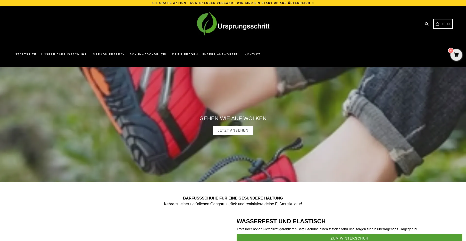 Website screenshot of Ursprungsschritt.at