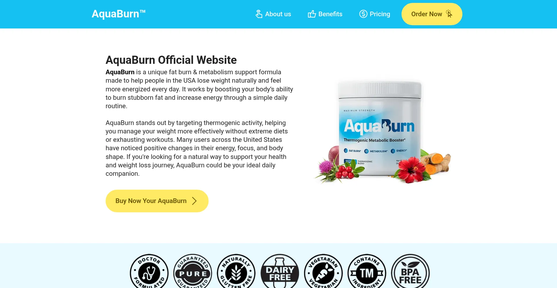 Website screenshot of Us-aquaburn.us