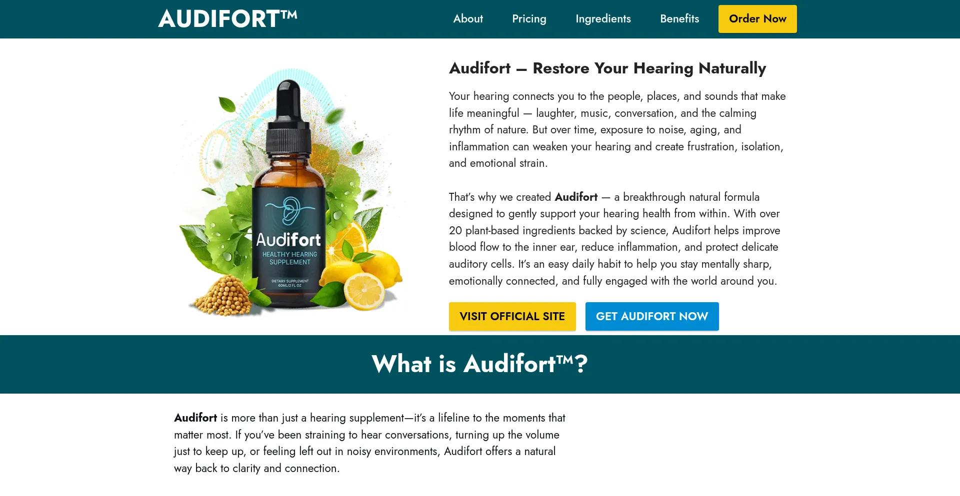 Us-audi-fort-us.com é Seguro e Confiável?