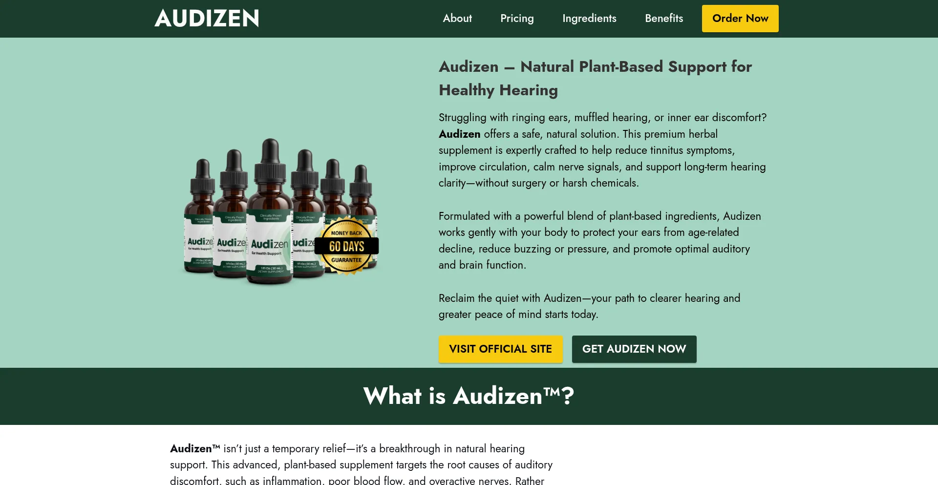 Website screenshot of Us-audi-zen.com