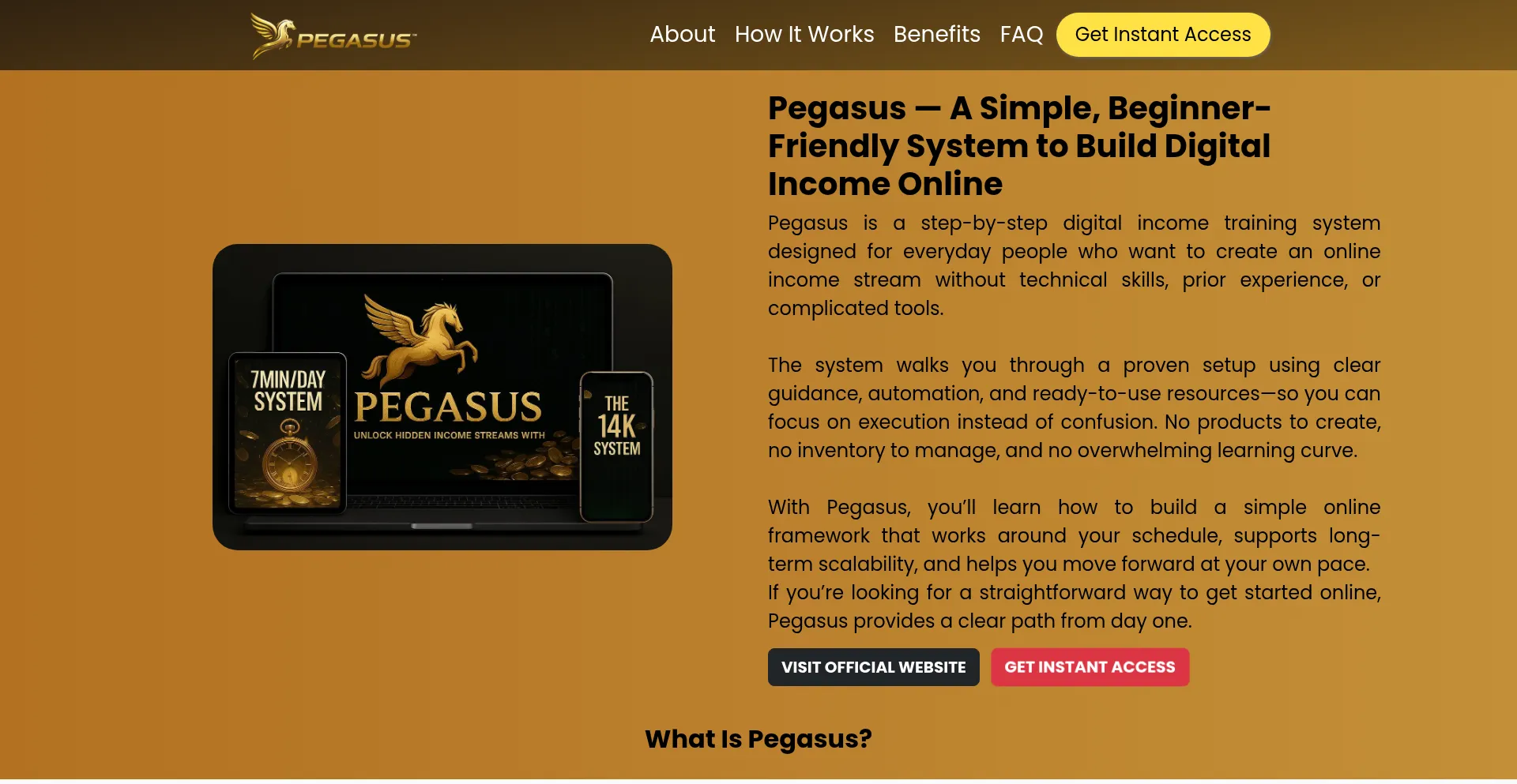 Us-en-us-pegasus.com