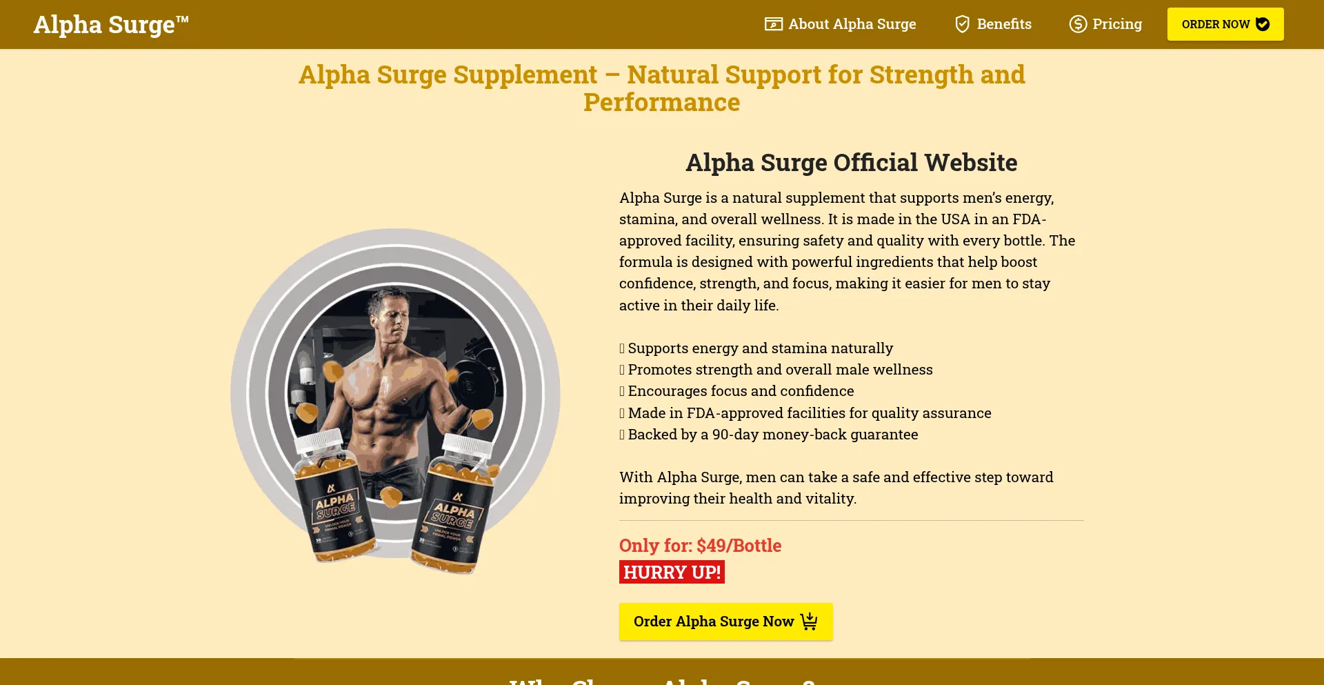 Usa-alphasurge.us é Seguro e Confiável?
