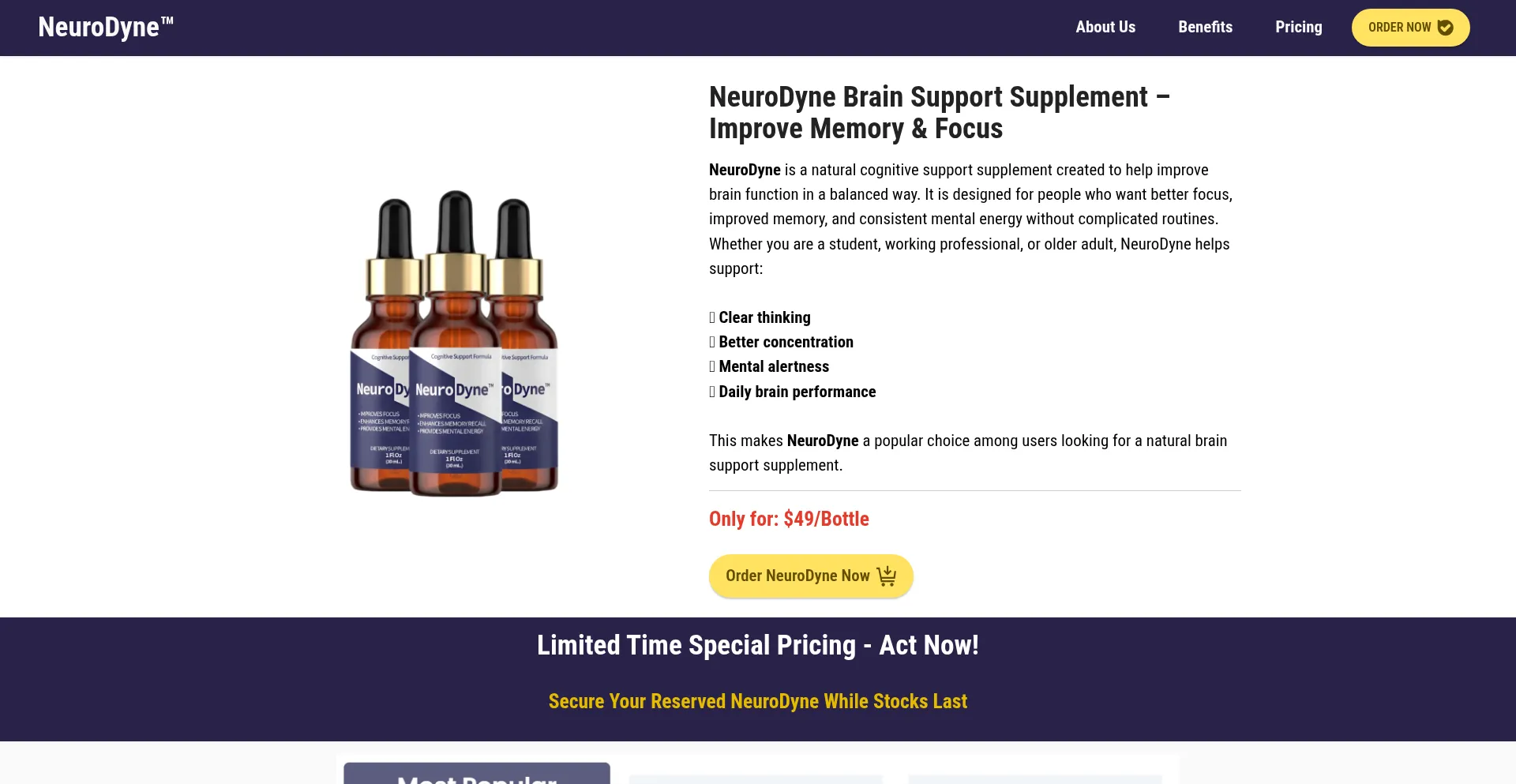 Usa-neurodyne.us