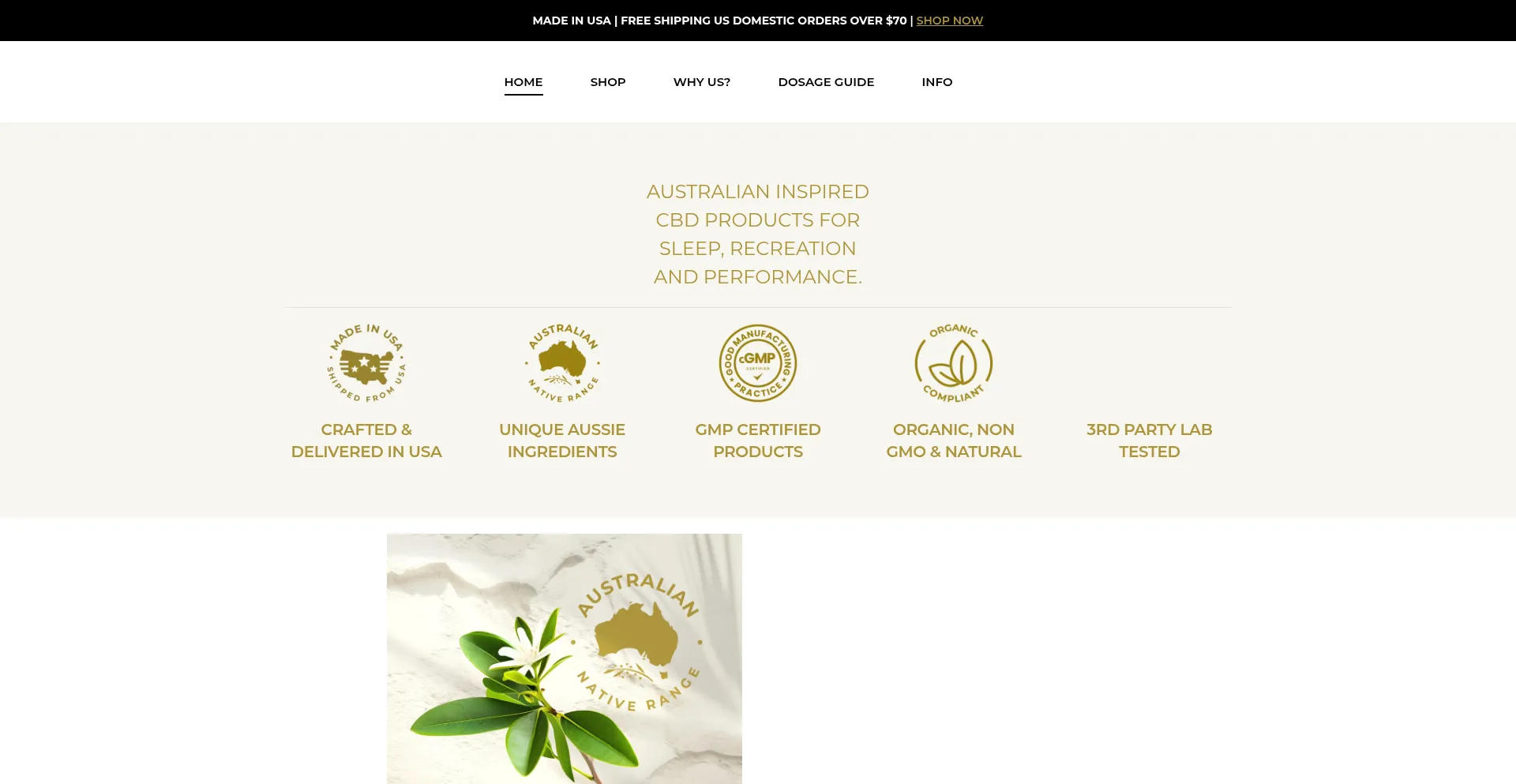 Website screenshot of Usadowntoearth.green