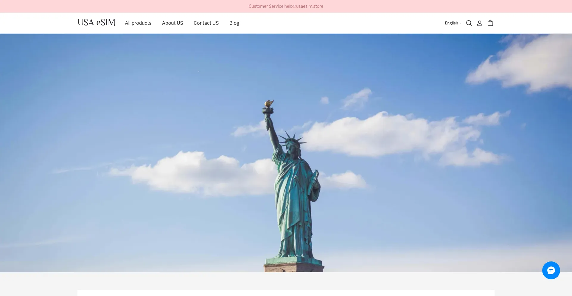 Website screenshot of Usaesim.store
