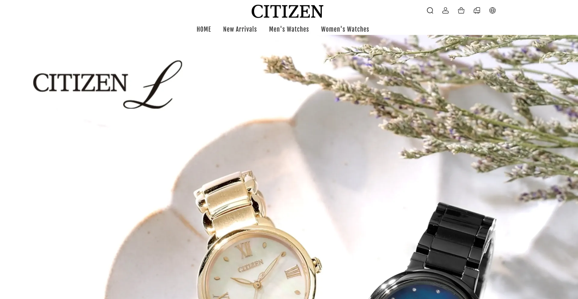 Website screenshot of Uscitizenshop.com