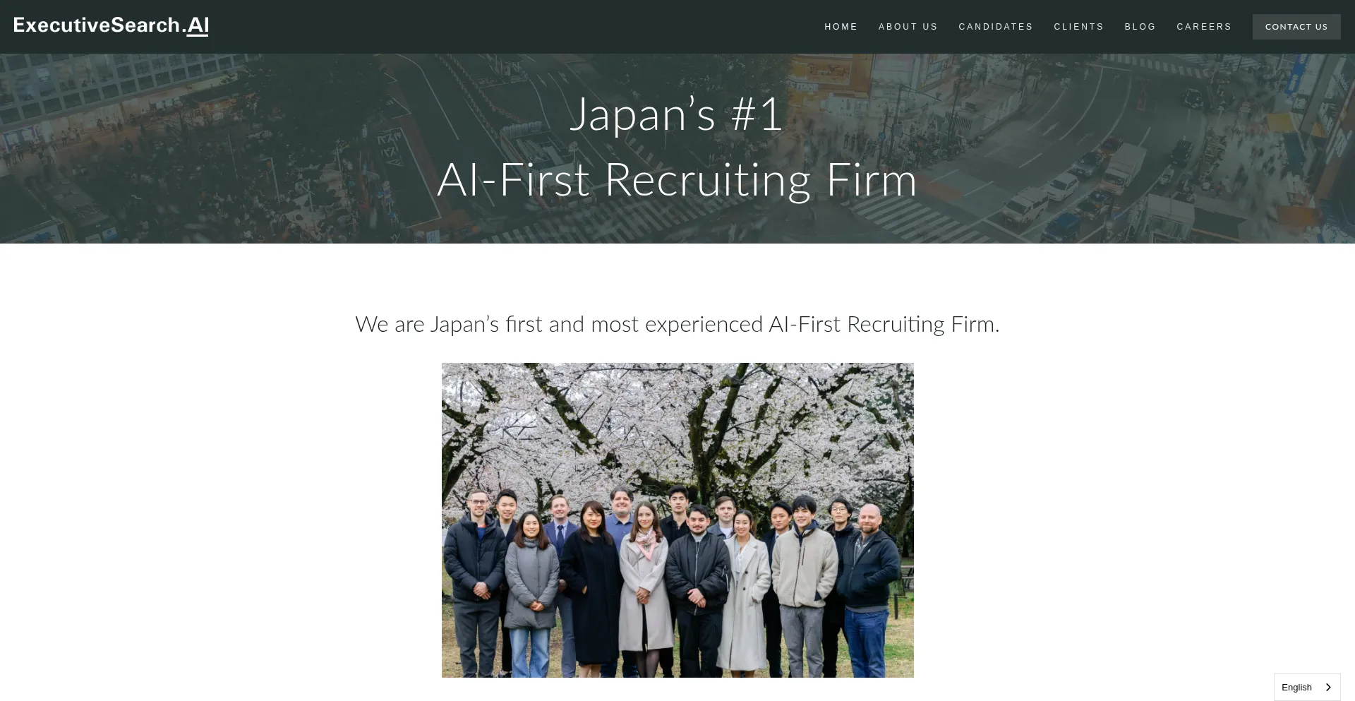 Website screenshot of Useexecsearch.com