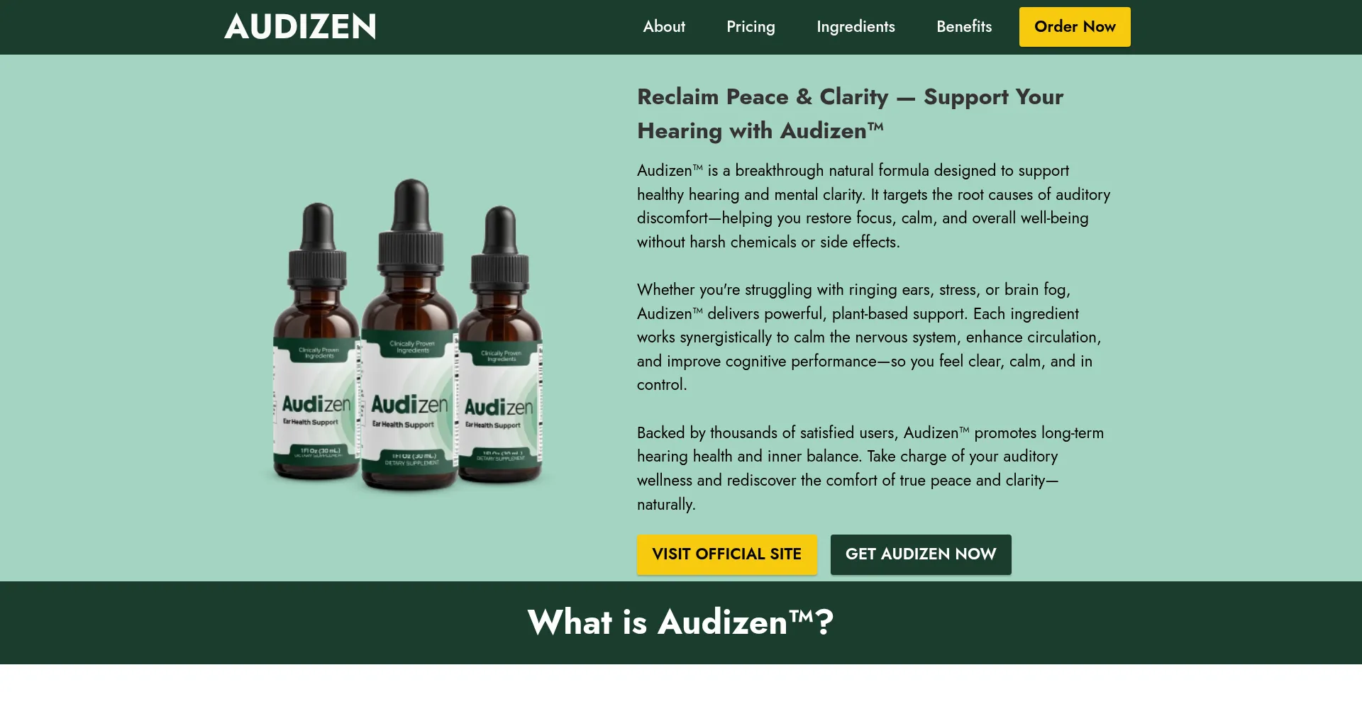 Website screenshot of Usen-audizen.com