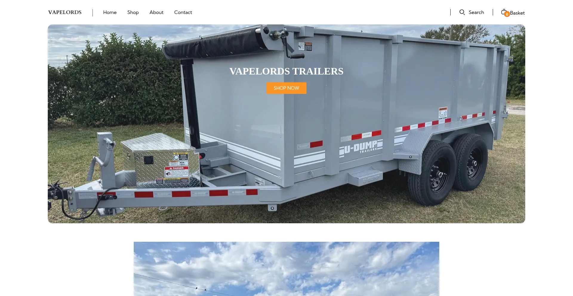 Website screenshot of Vapelords.shop