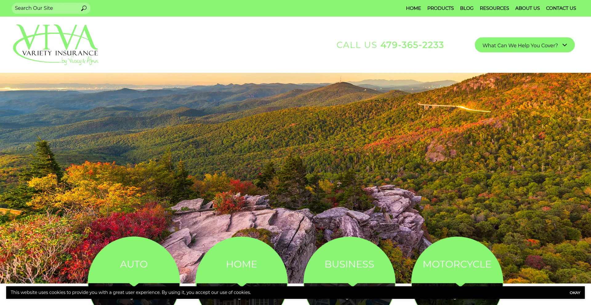 Website screenshot of Varietyins.com