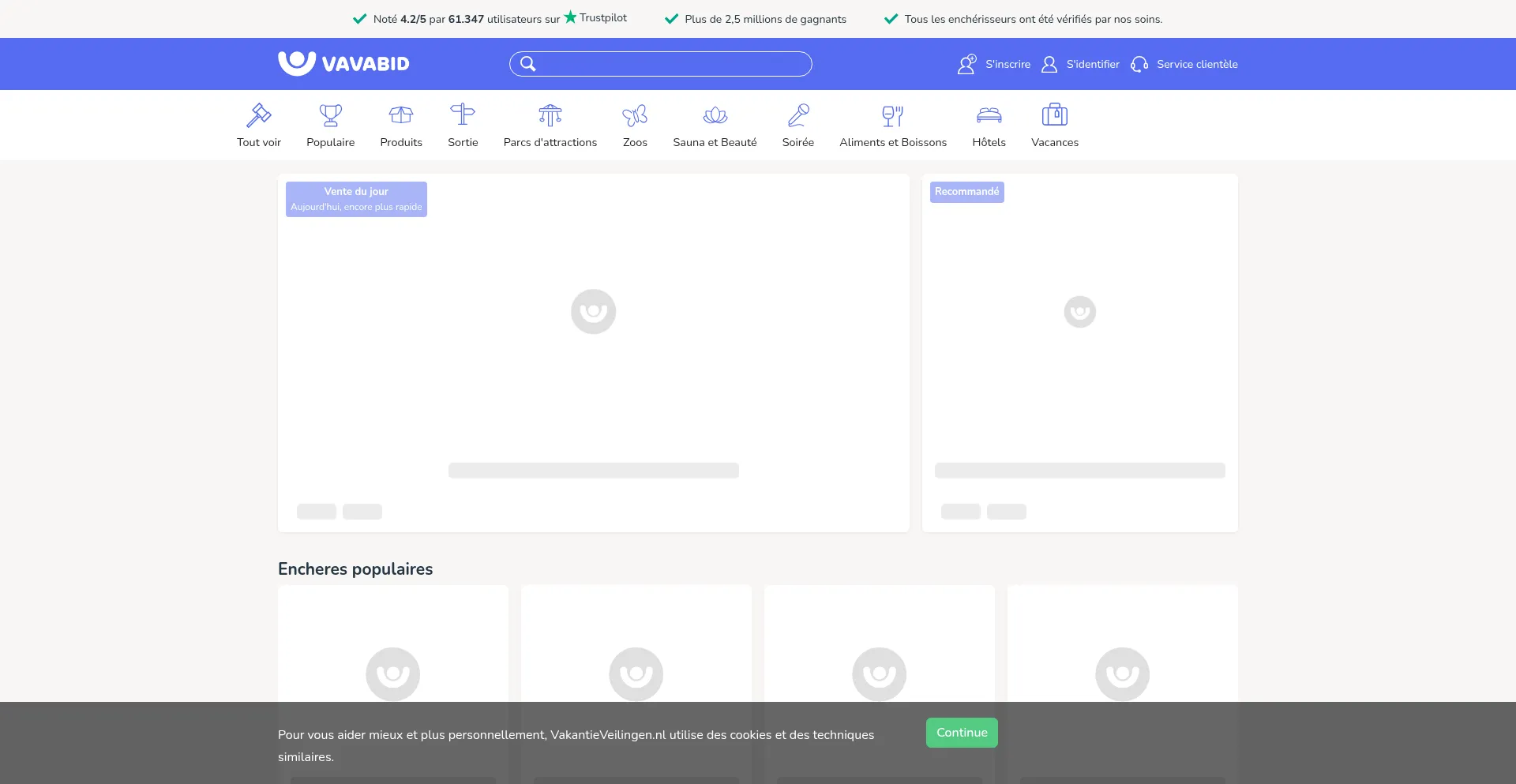 Website screenshot of Vavabid.be