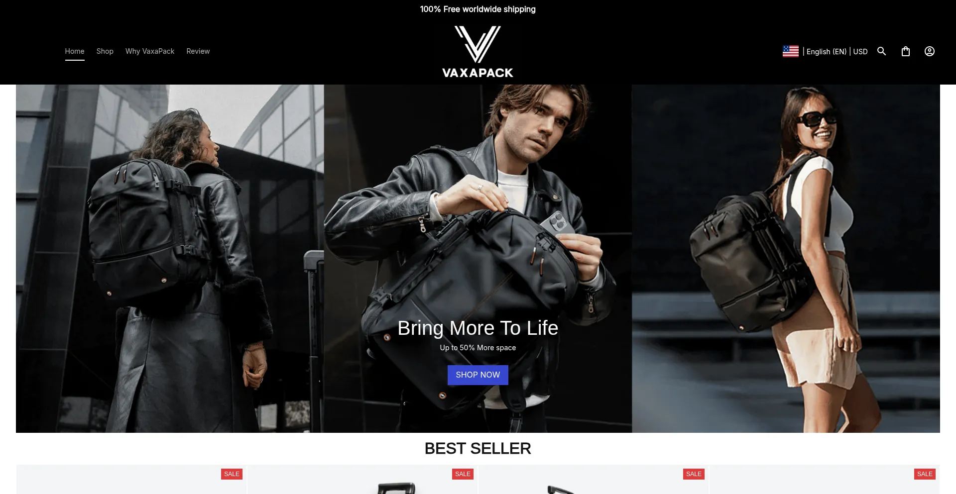 Website screenshot of Vaxapack.com
