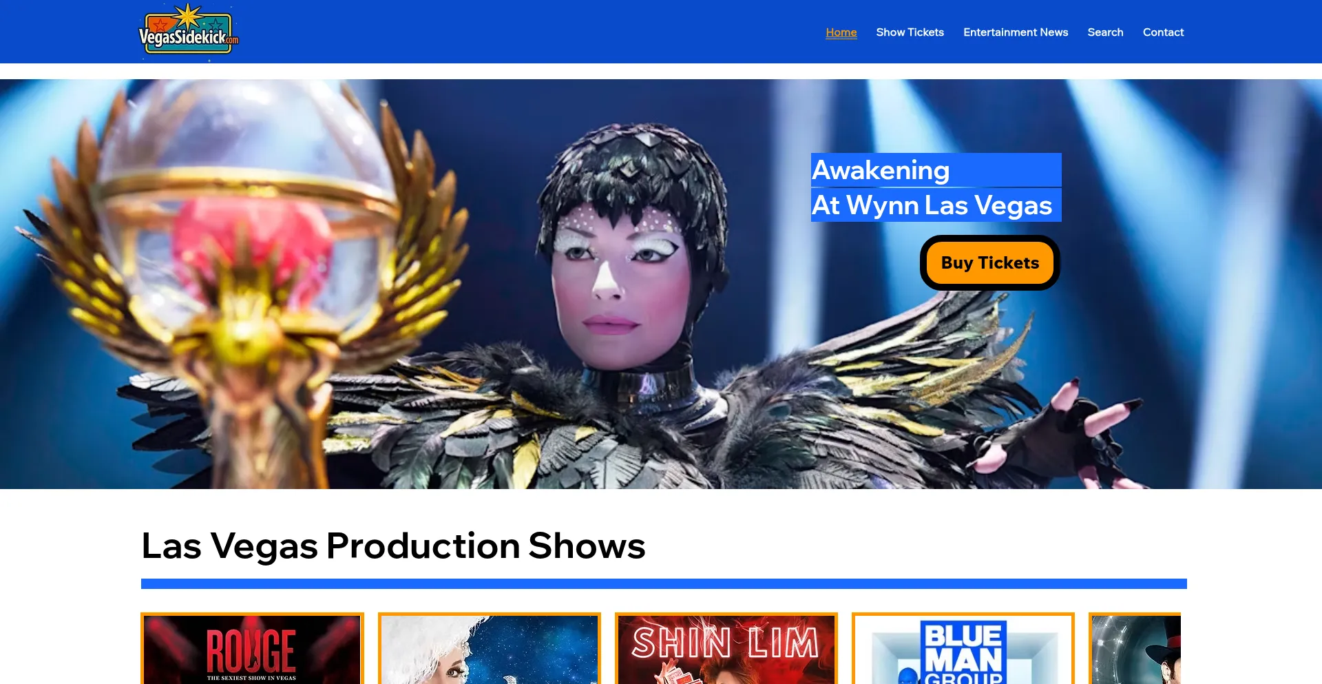 Website screenshot of Vegassidekick.com