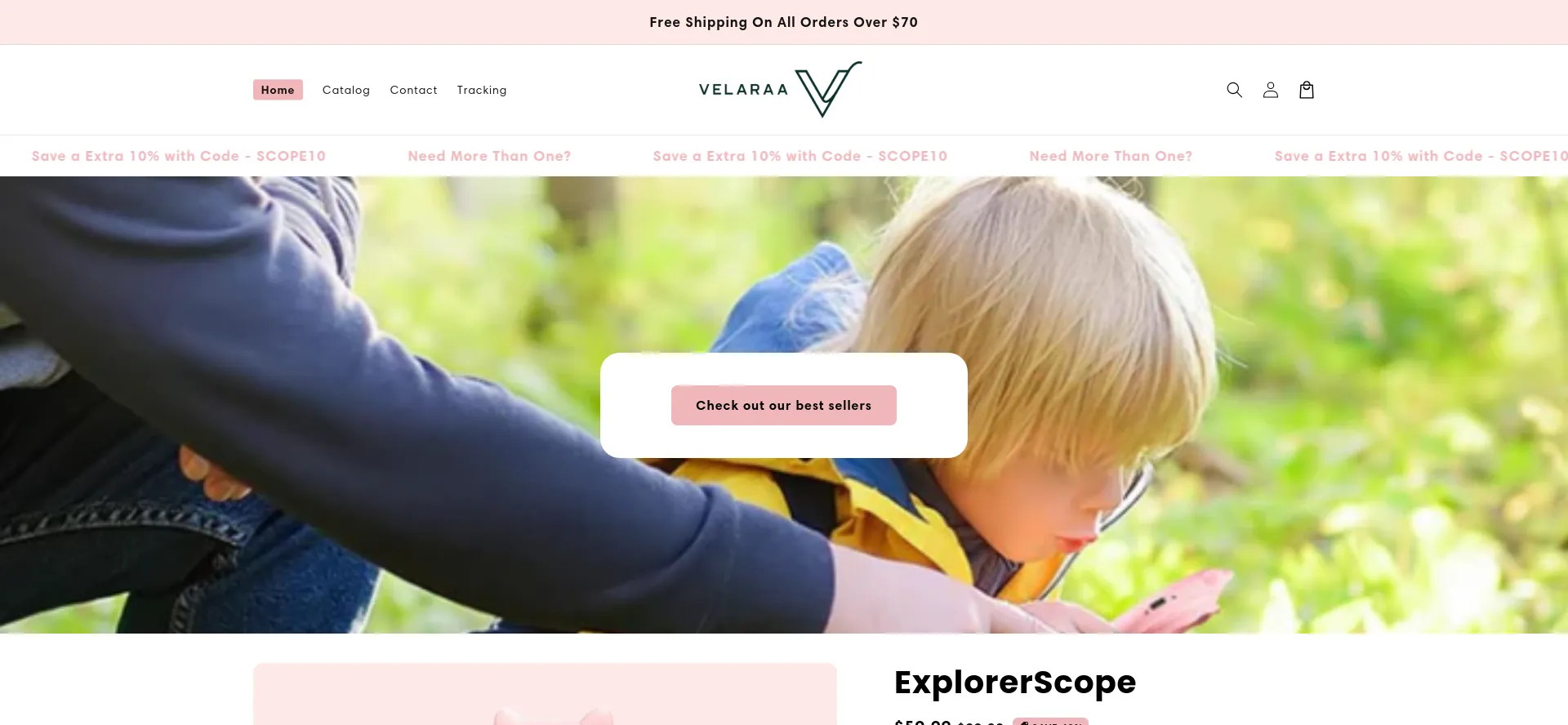 Website screenshot of Velaraa.com
