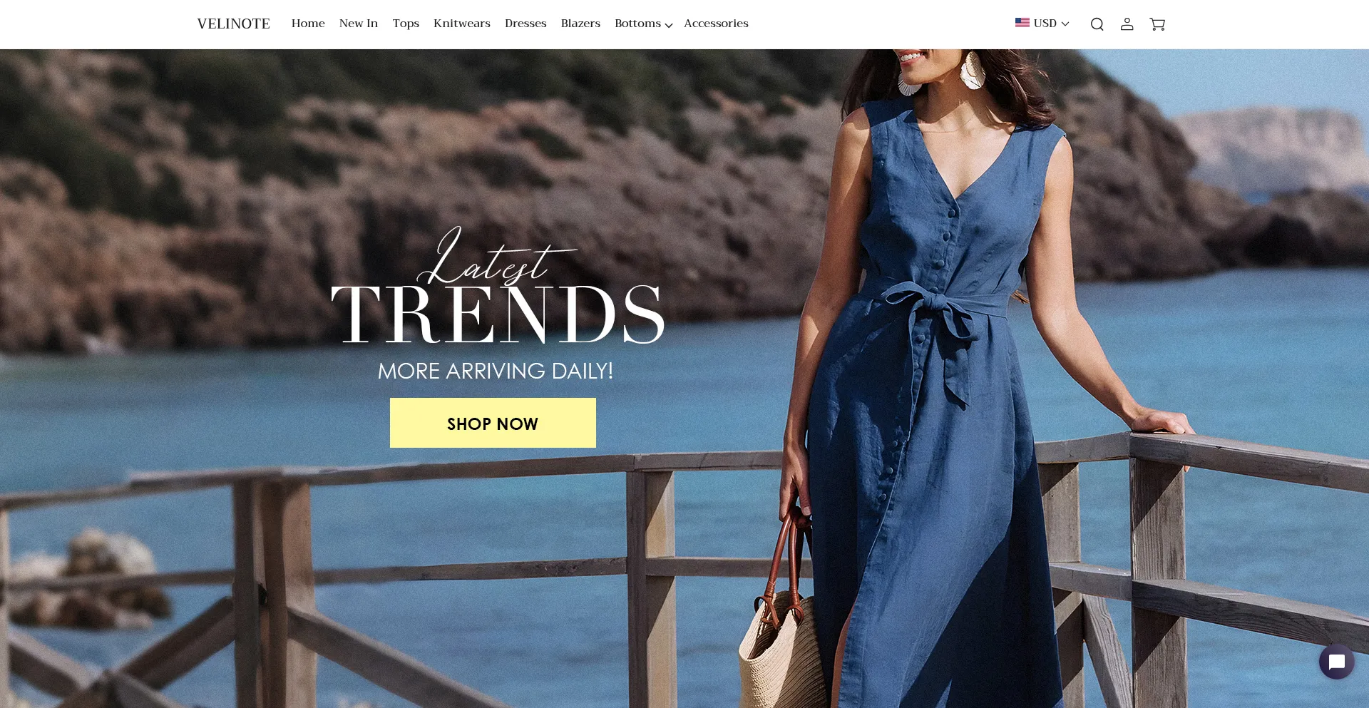Website screenshot of Velinote.com
