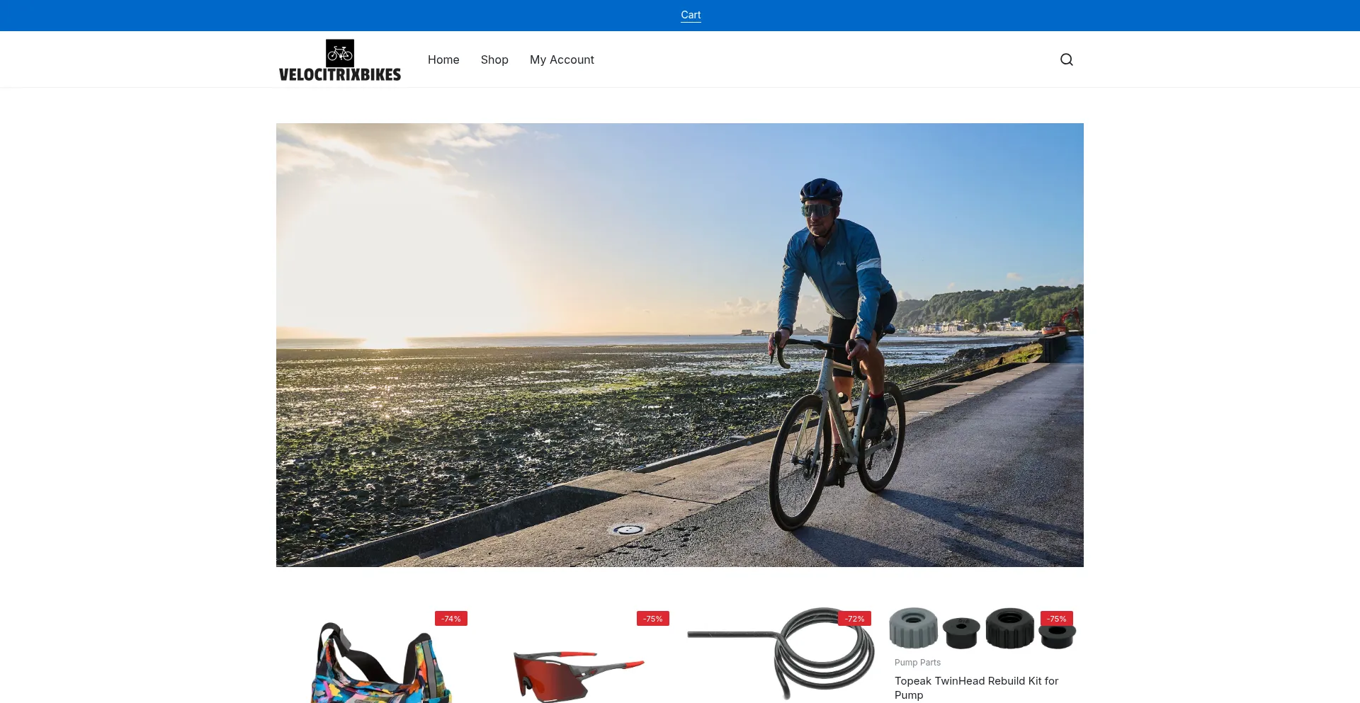 Velocitrixbikes.com