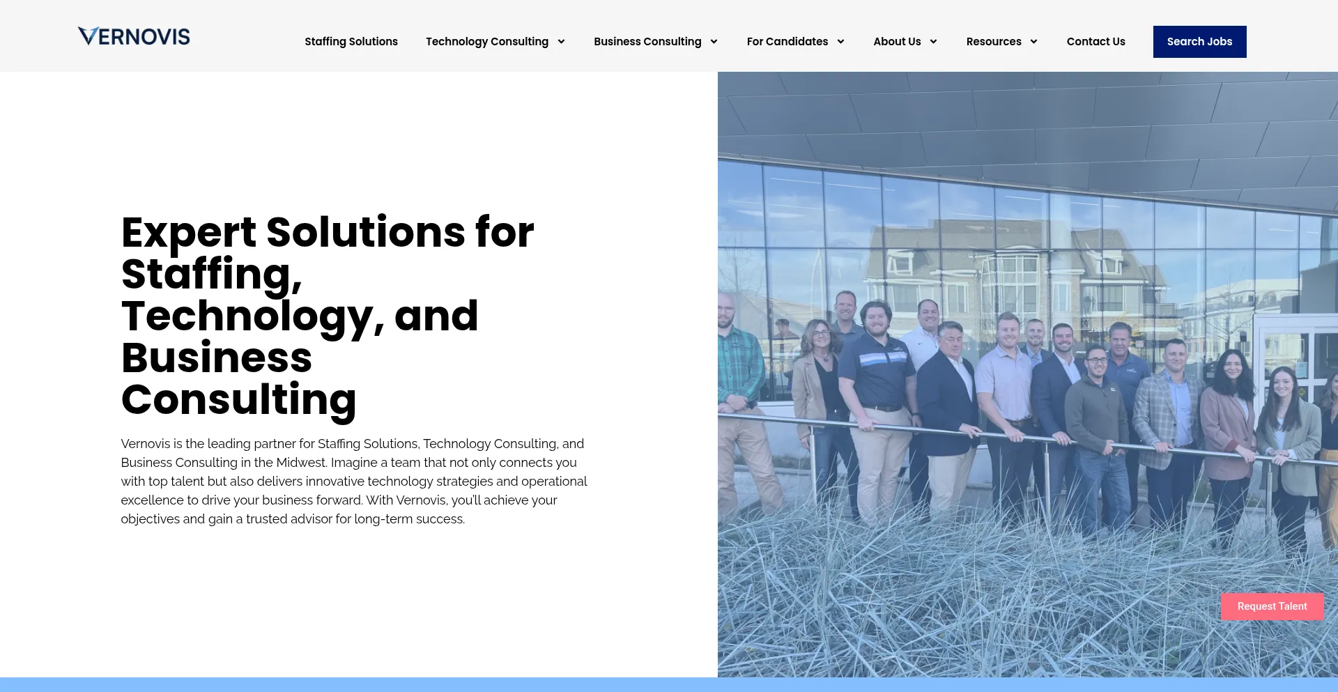 Website screenshot of Vernovis.com
