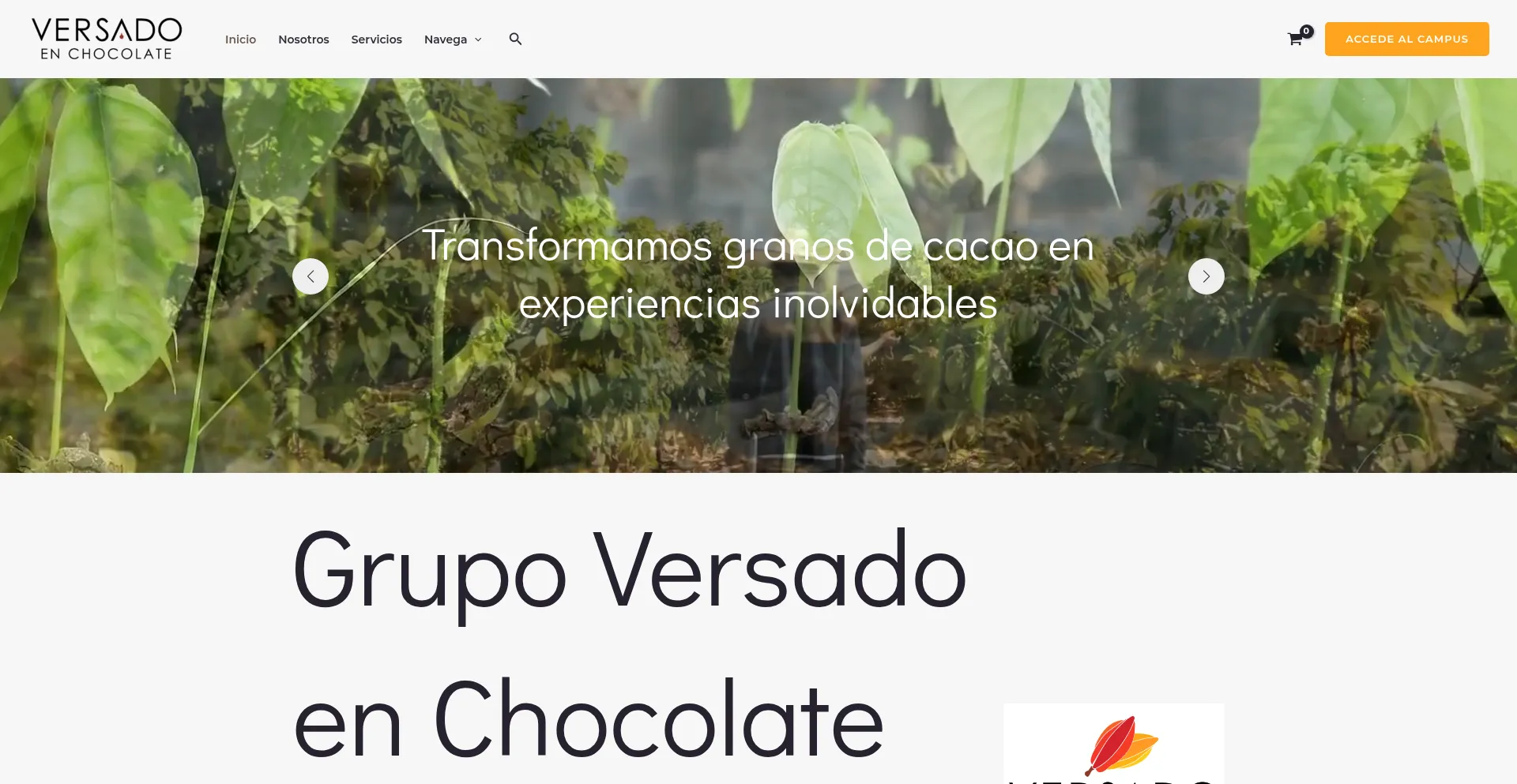 Website screenshot of Versadoenchocolate.com