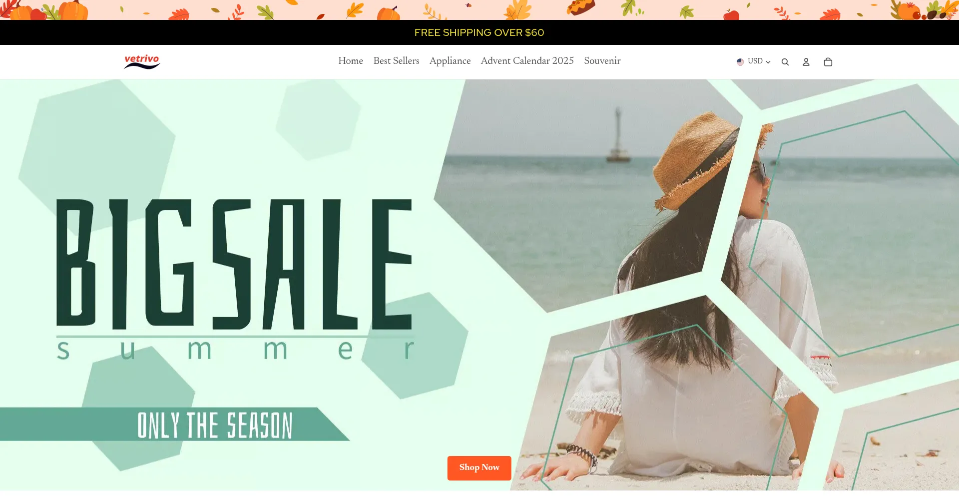 Website screenshot of Vetrivo.com