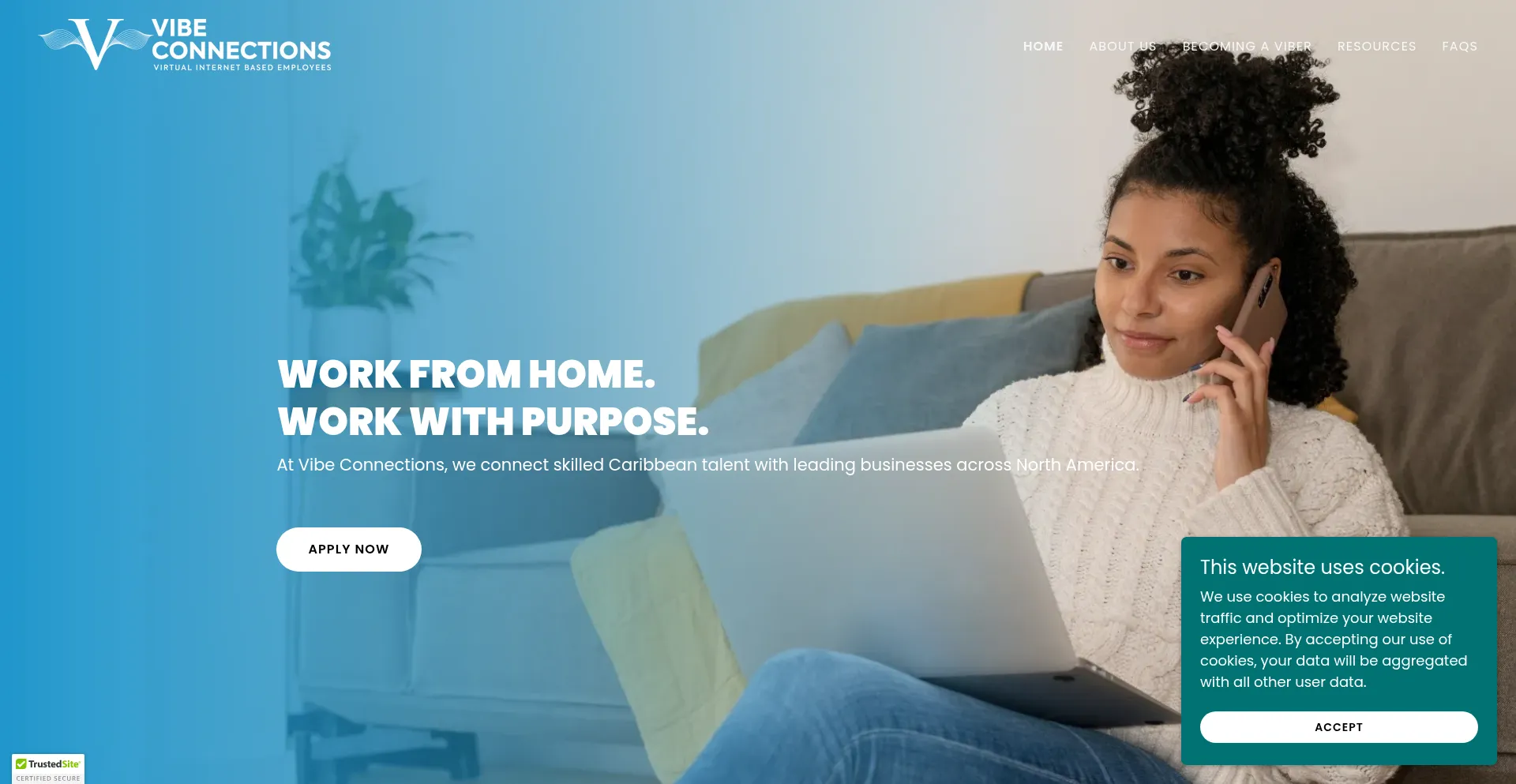 Vibeconnectionscareers.com