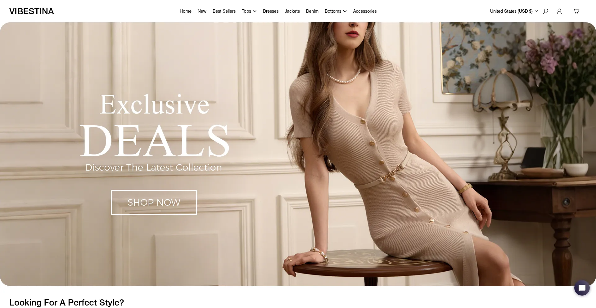 Website screenshot of Vibestina.com