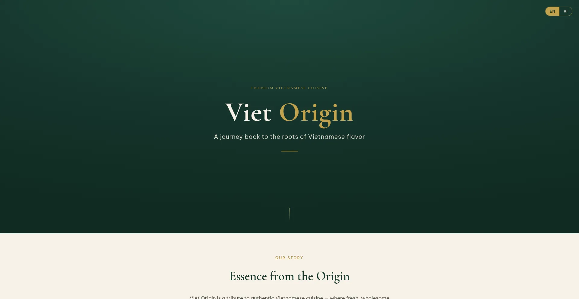 Vietorigin.com