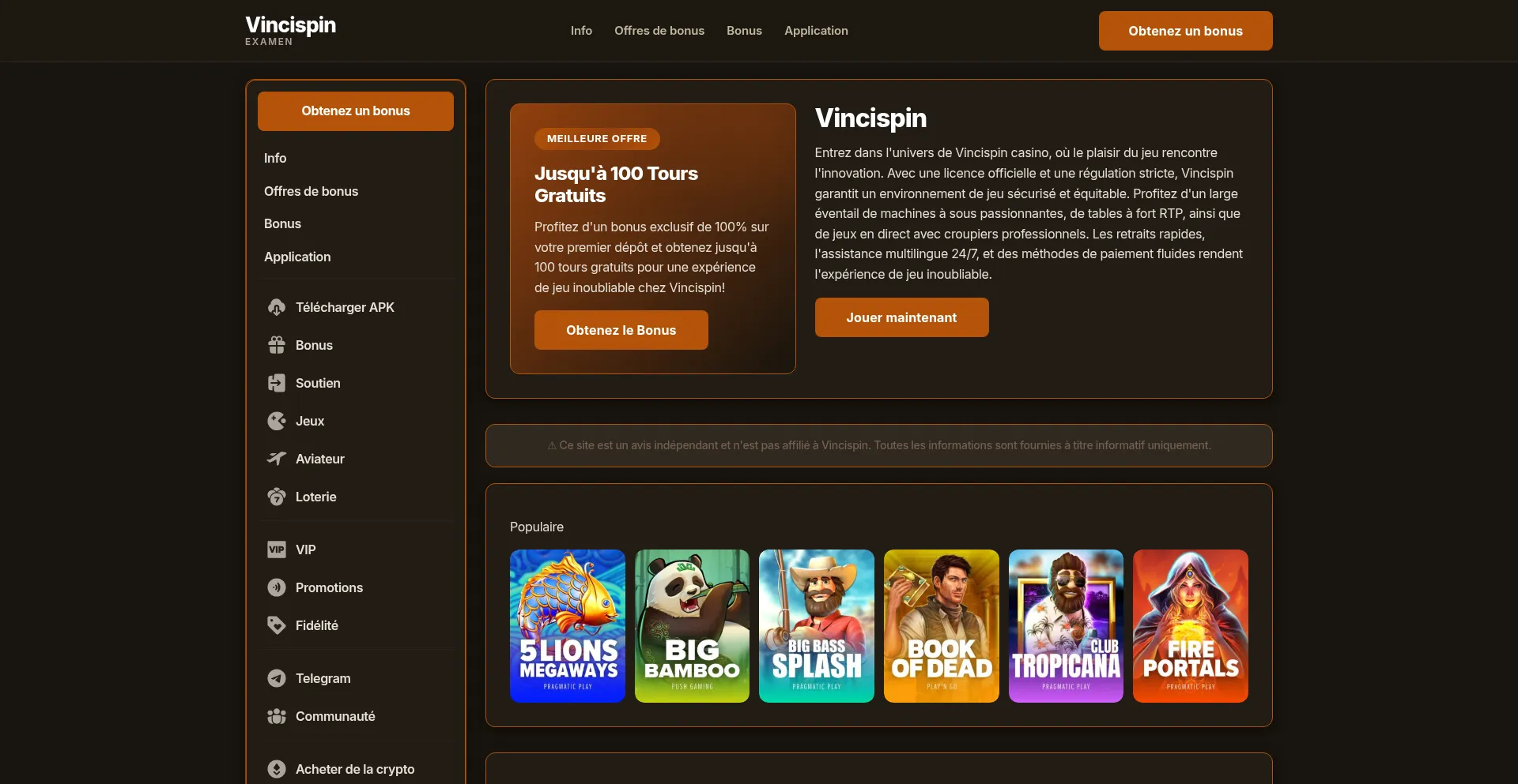 Vincispinfrance.net