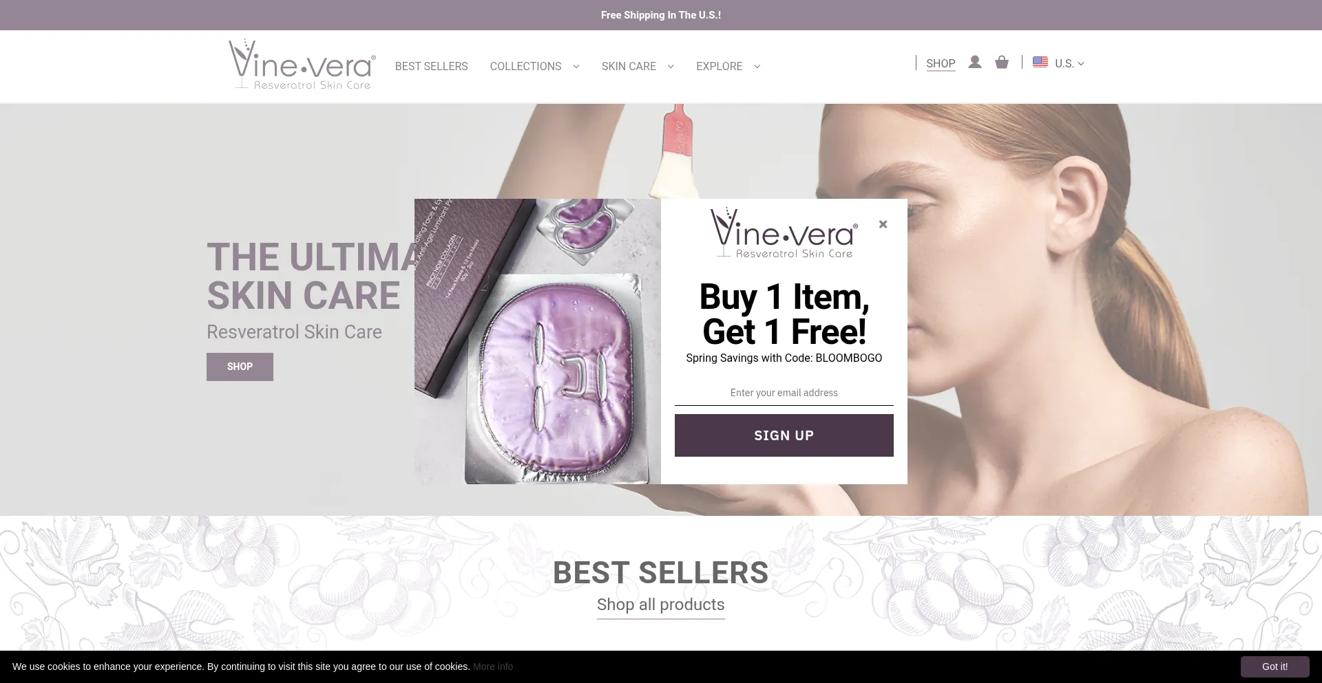 Vinevera.com é Seguro e Confiável?