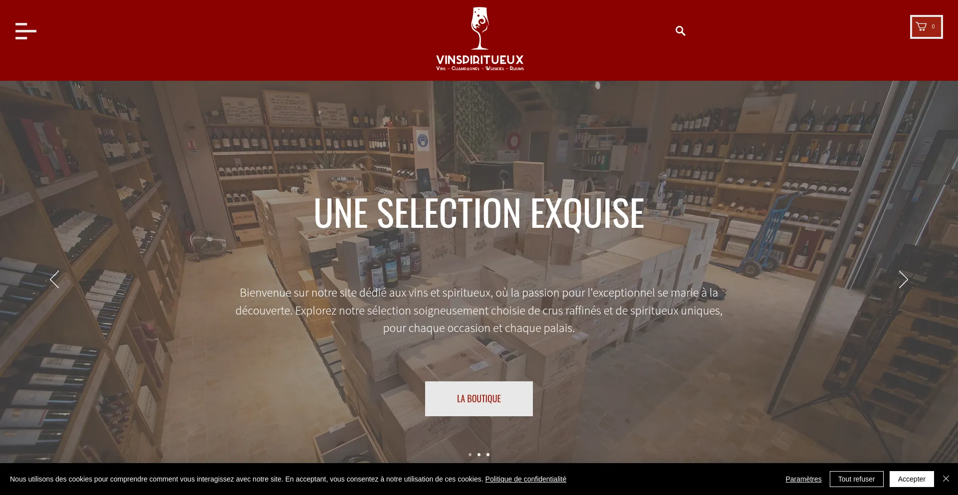 Website screenshot of Vinspiritueux.com