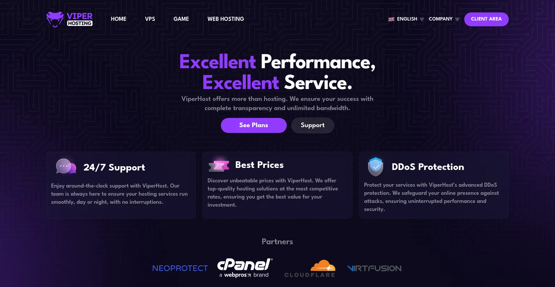 Viperhost.net Screenshot