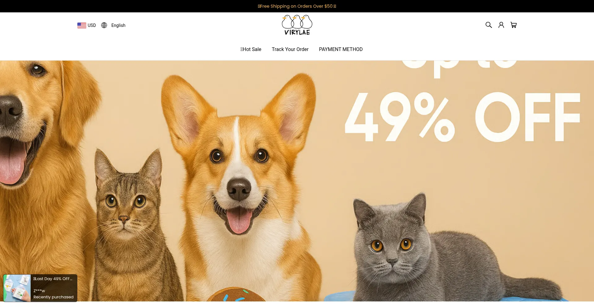 Website screenshot of Virylae.com