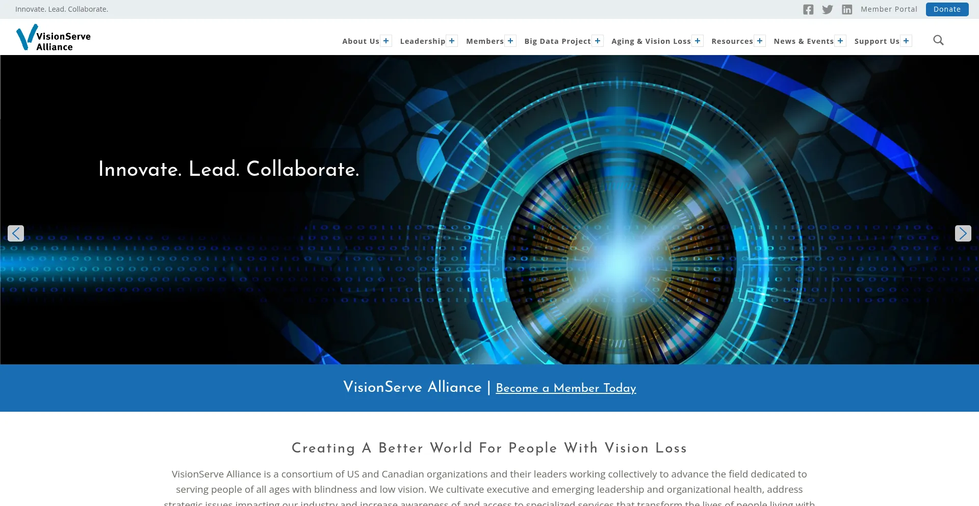 Visionservealliance.org