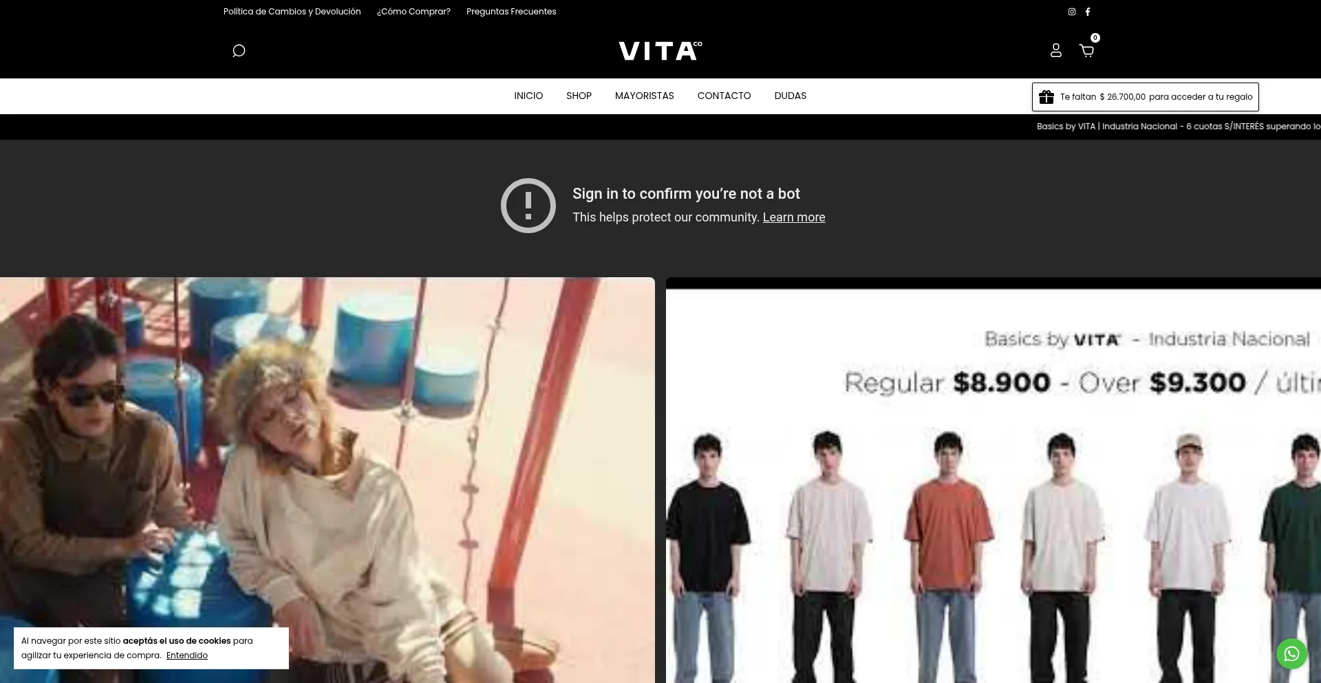 Website screenshot of Vitacoar.com