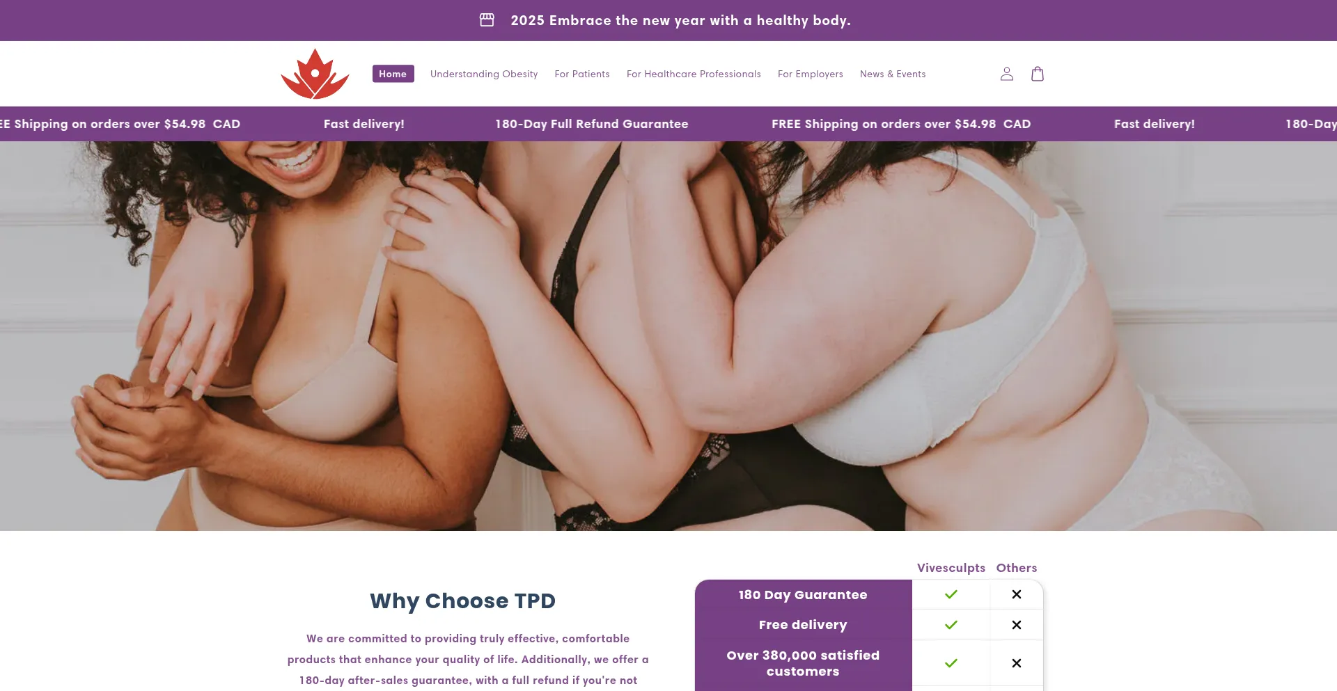 Website screenshot of Vivesculpts.com