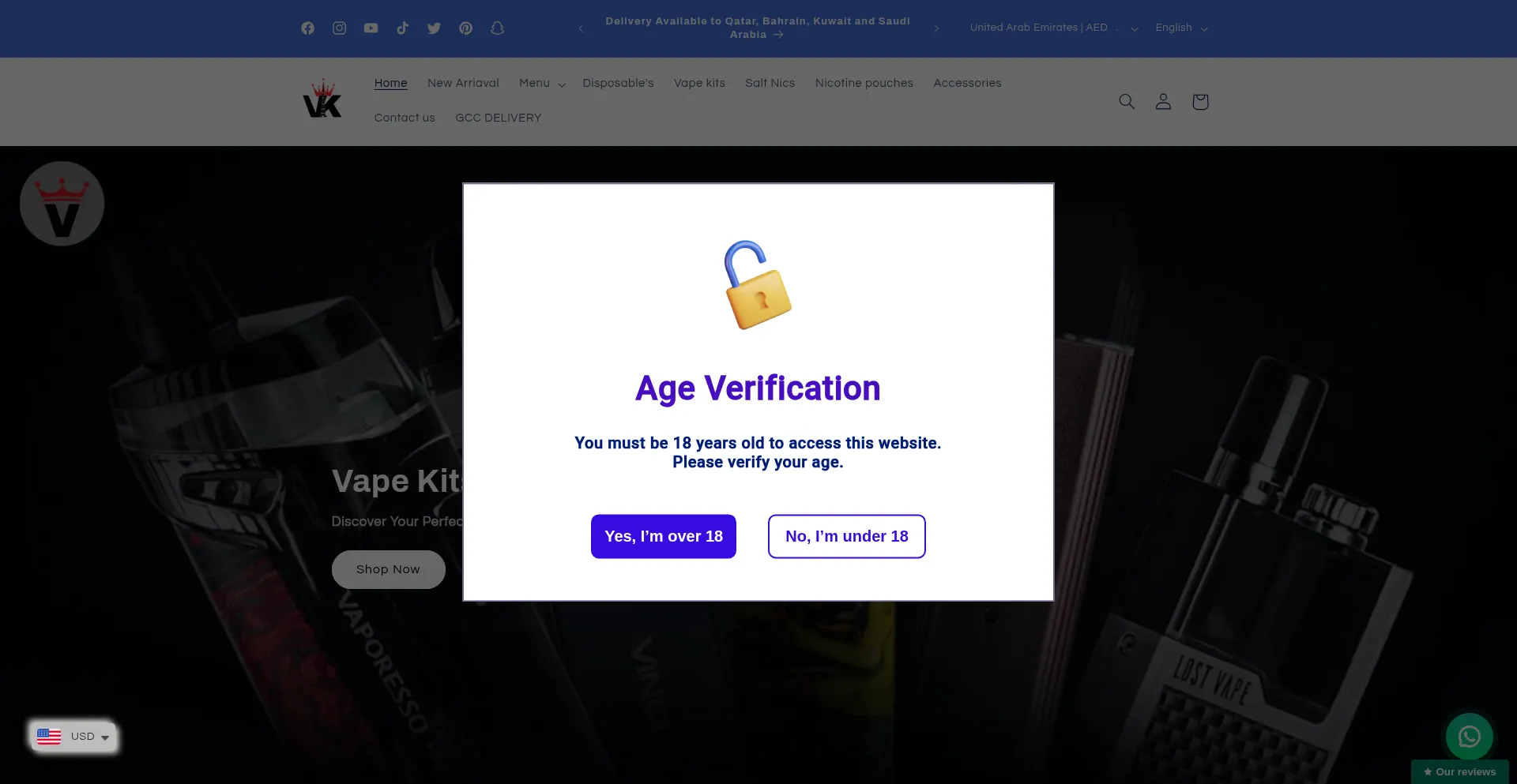 Website screenshot of Vkdxb.com