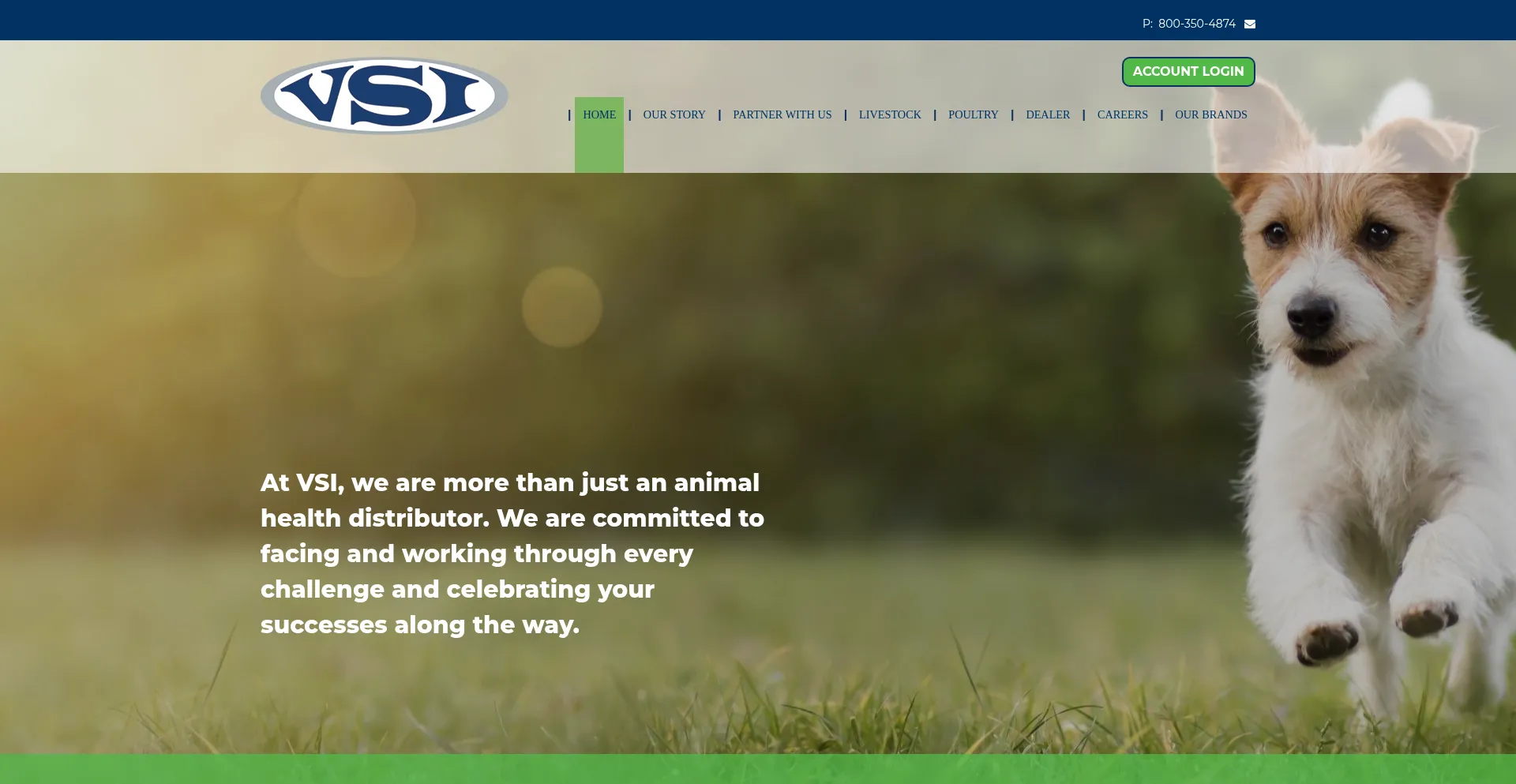 Vsi.cc
