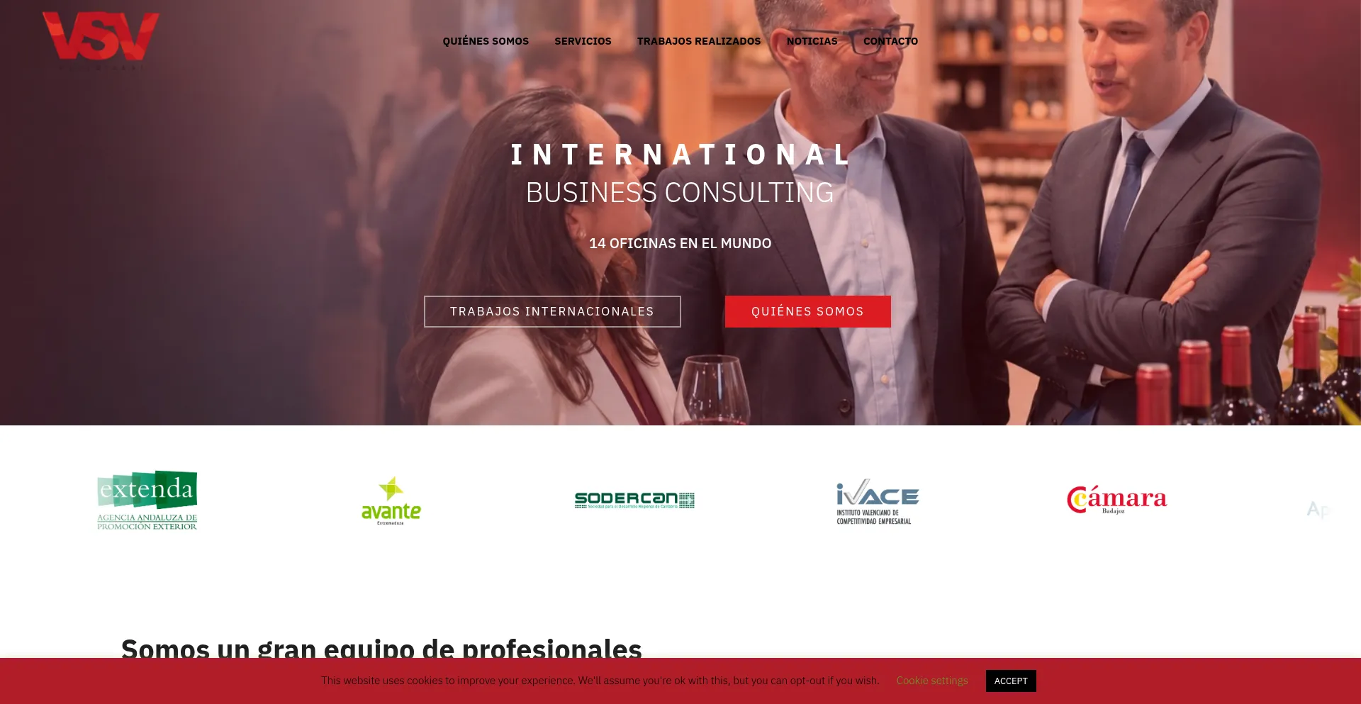 Vsveuroglobal.com