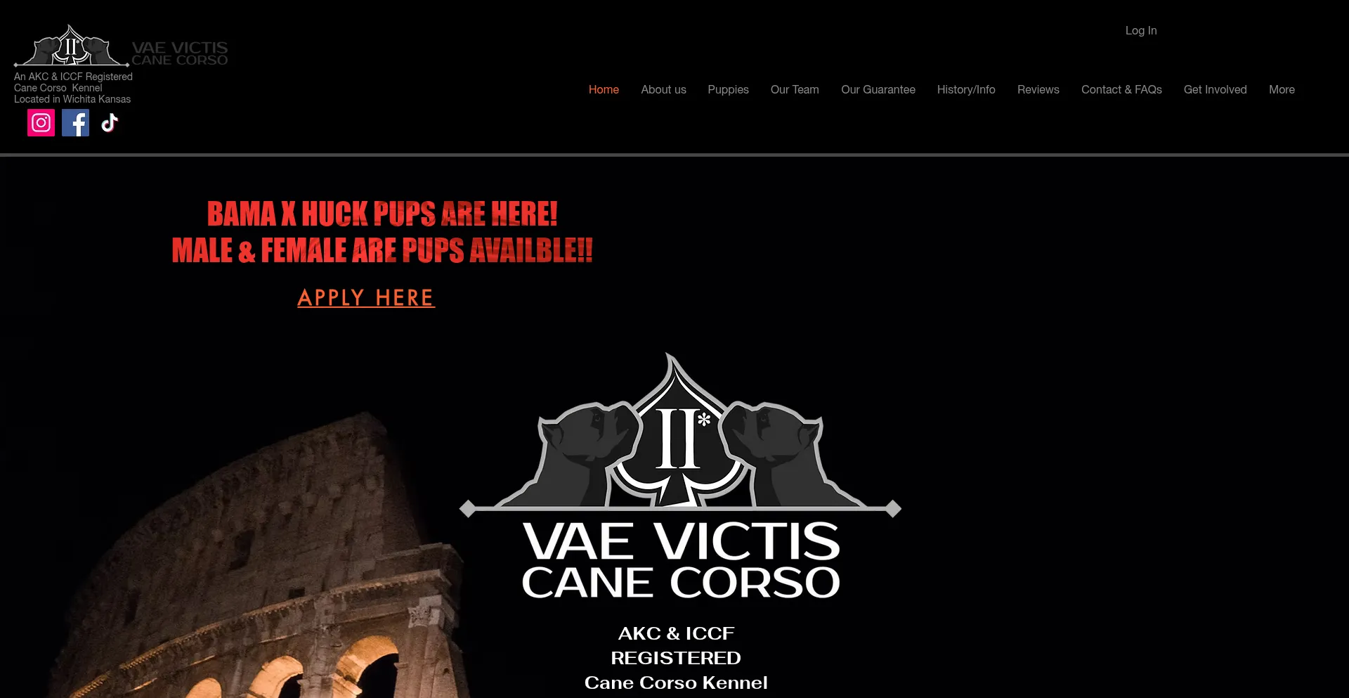 Vvcanecorsos.com