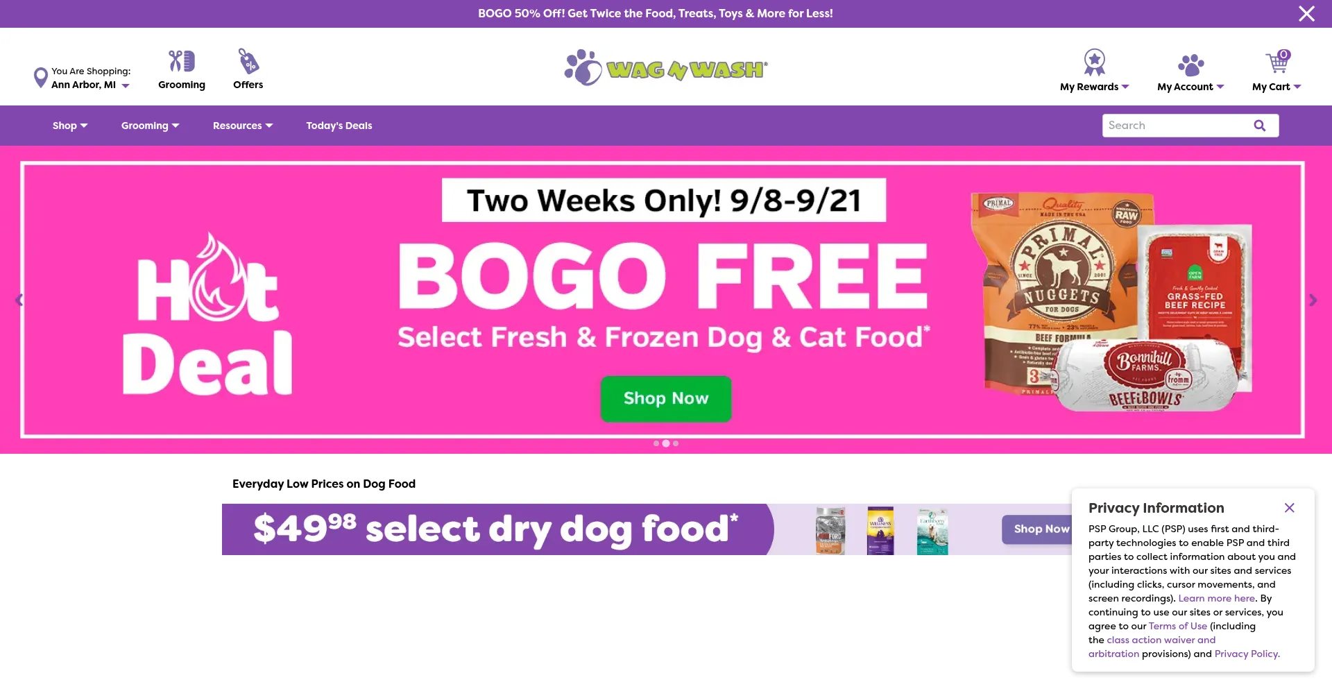 Wagnwash.com é Seguro e Confiável?