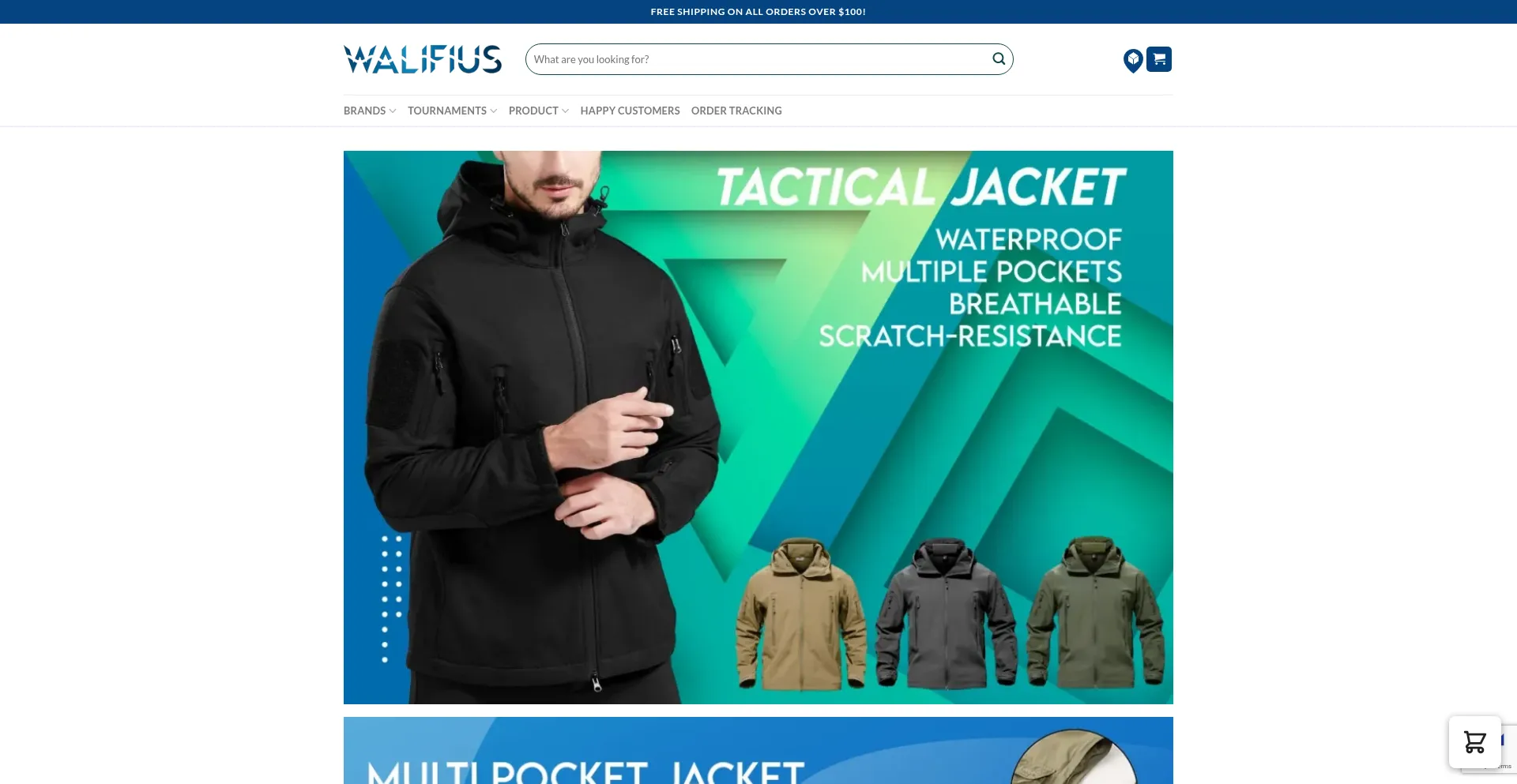 Website screenshot of Walifius.com