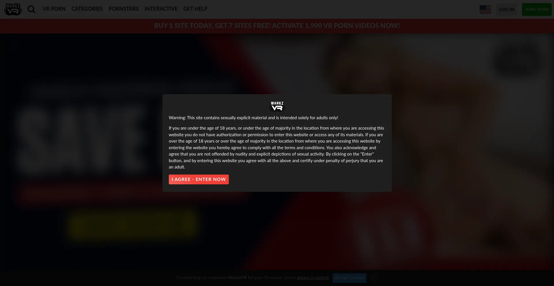 Website screenshot of Wankzvr.com
