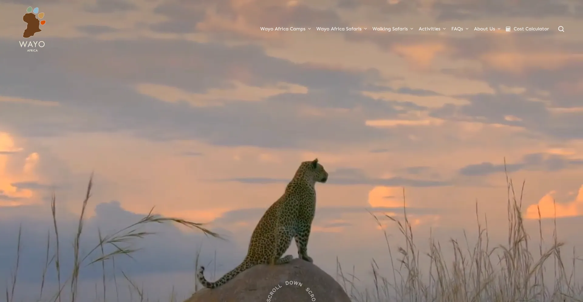 Website screenshot of Wayoafrica.com