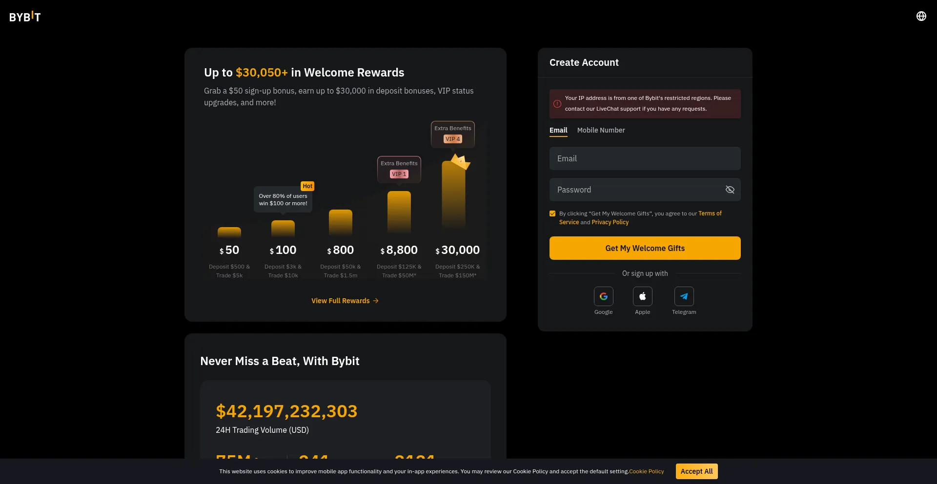 Website screenshot of Wbybit.com