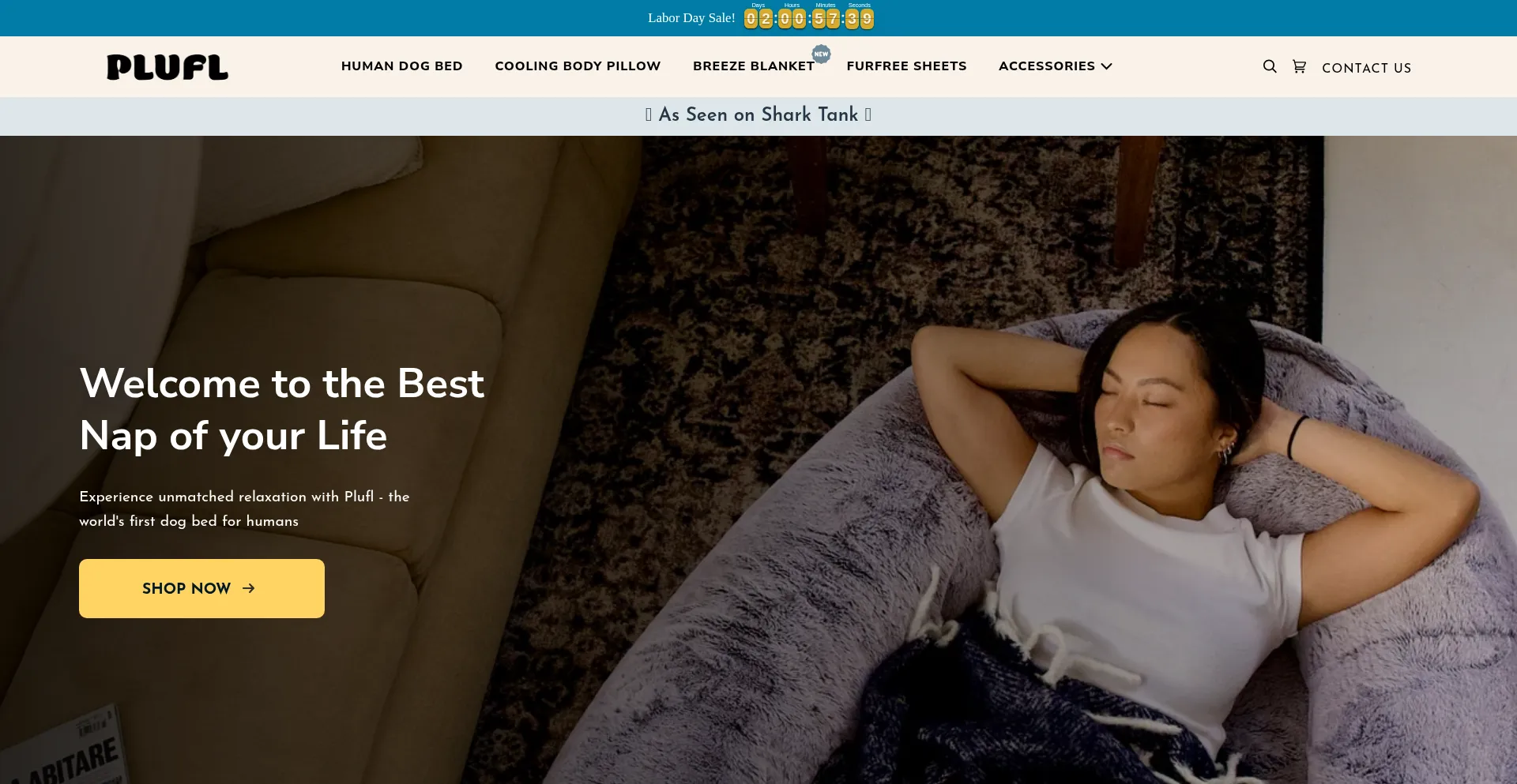 Website screenshot of Weareplufl.com